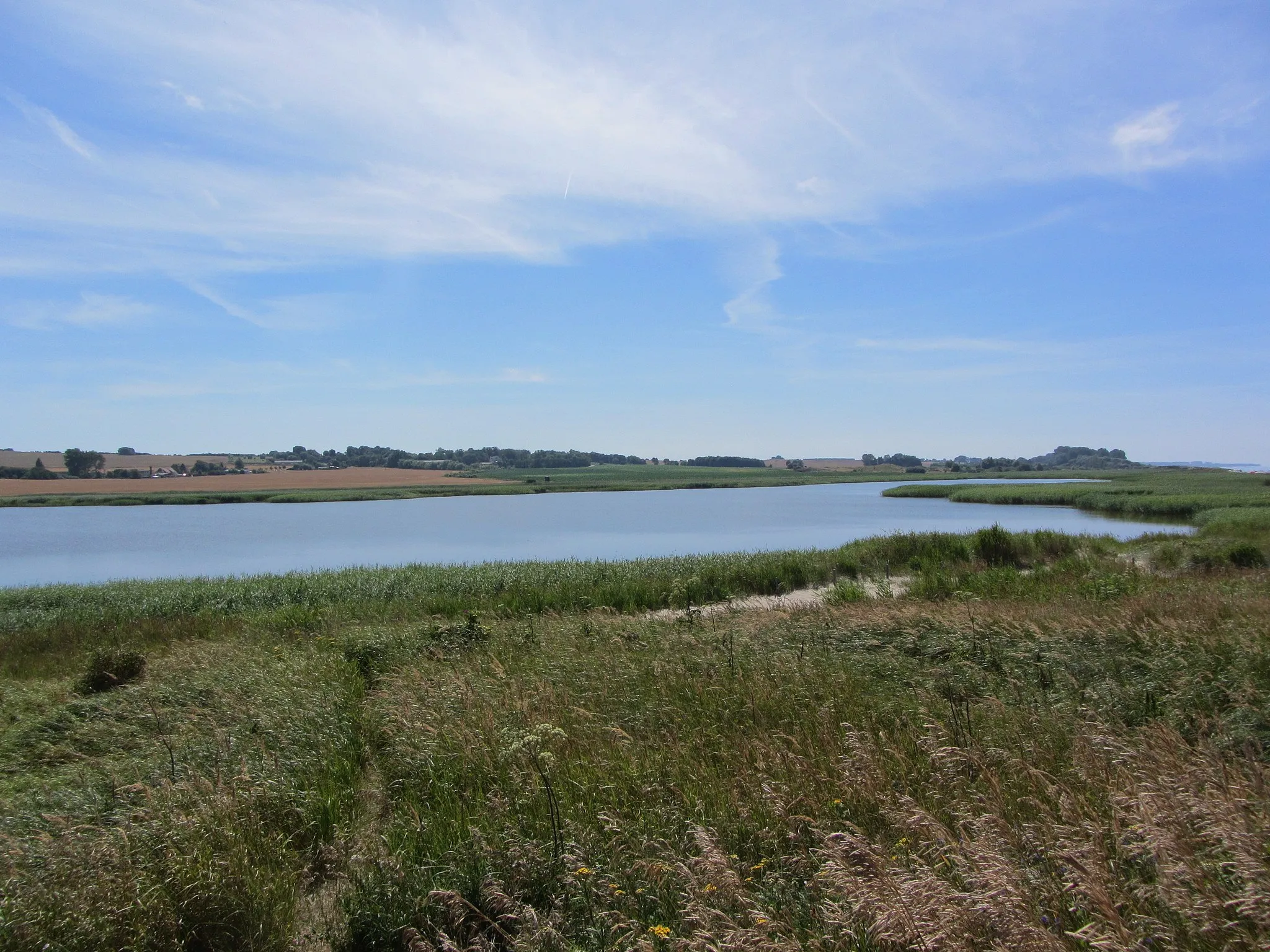 Photo showing: Nature reserve Riesensee - View from northern side - north of Kägsdorf, district Rostock, Mecklenburg-Vorpommern, Germany