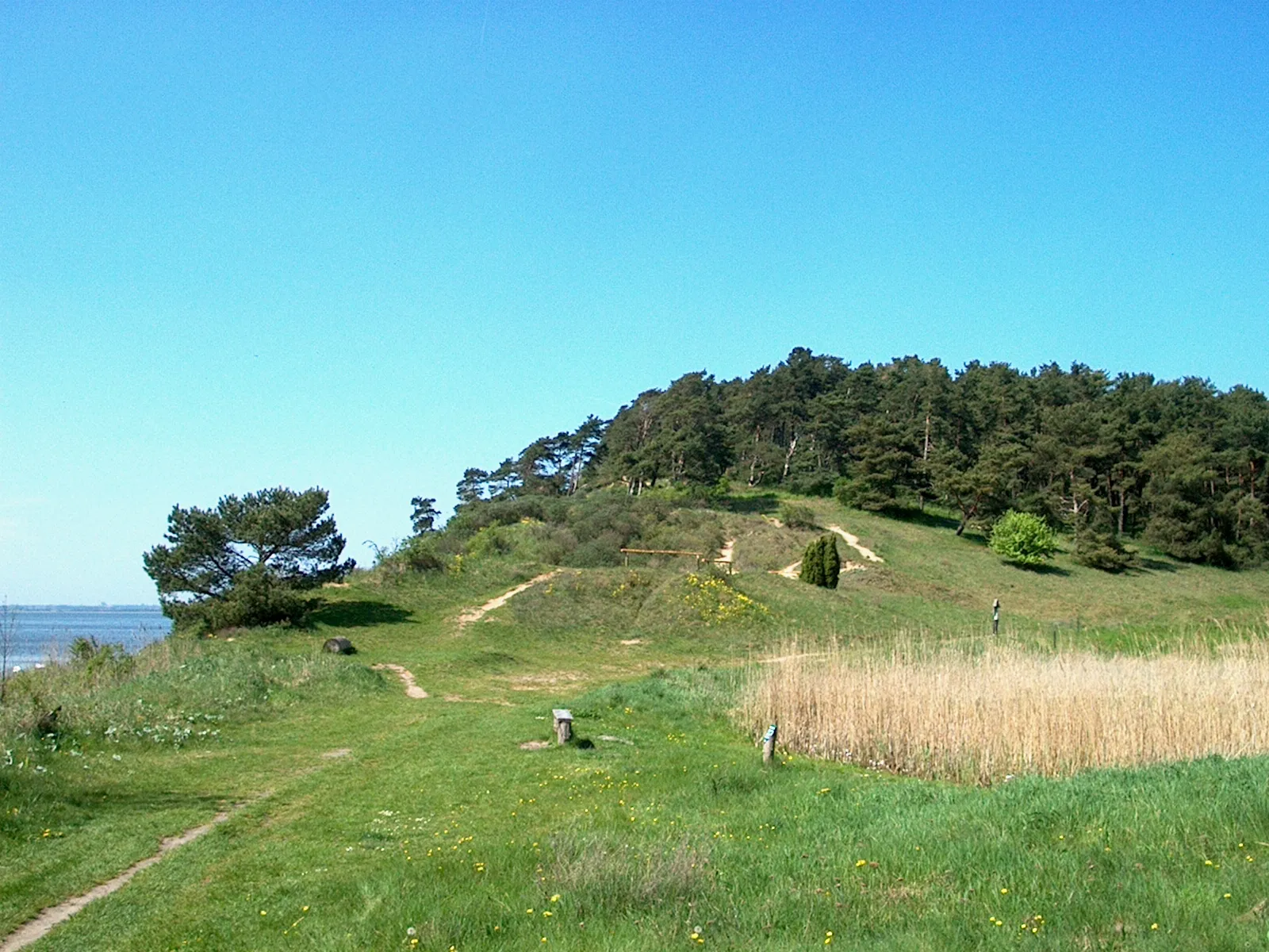 Photo showing: Landschaft von Gnitz auf Usedom