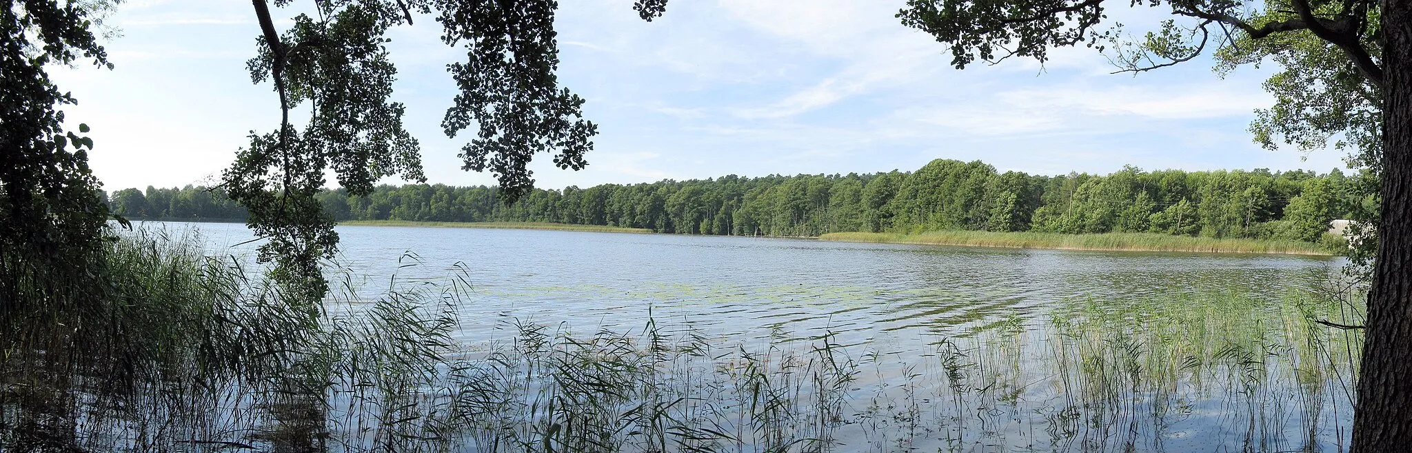 Photo showing: Lake Hofsee in Speck, disctrict Mecklenburgische Seenplatte, Mecklenburg-Vorpommern, Germany