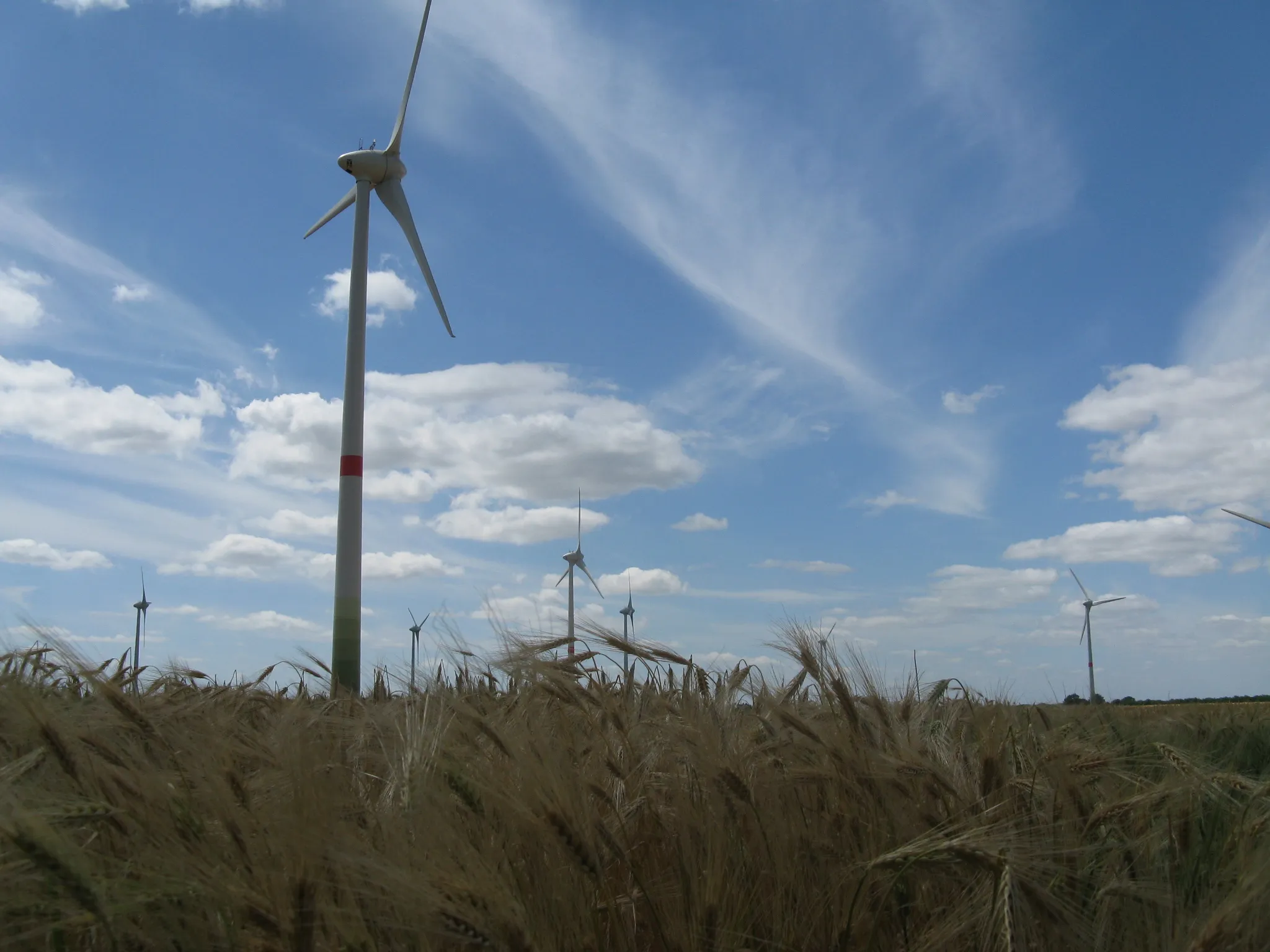 Photo showing: Wind turbines in Dargelütz, district Ludwigslust-Parchim, Mecklenburg-Vorpommern, Germany
