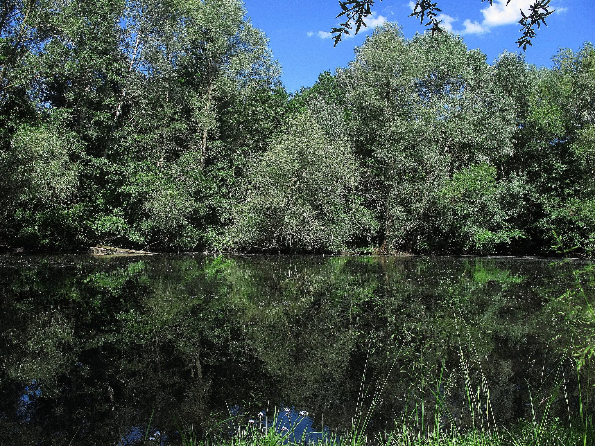 Photo showing: Altwasser der Pegnitz, Nürnberg-West