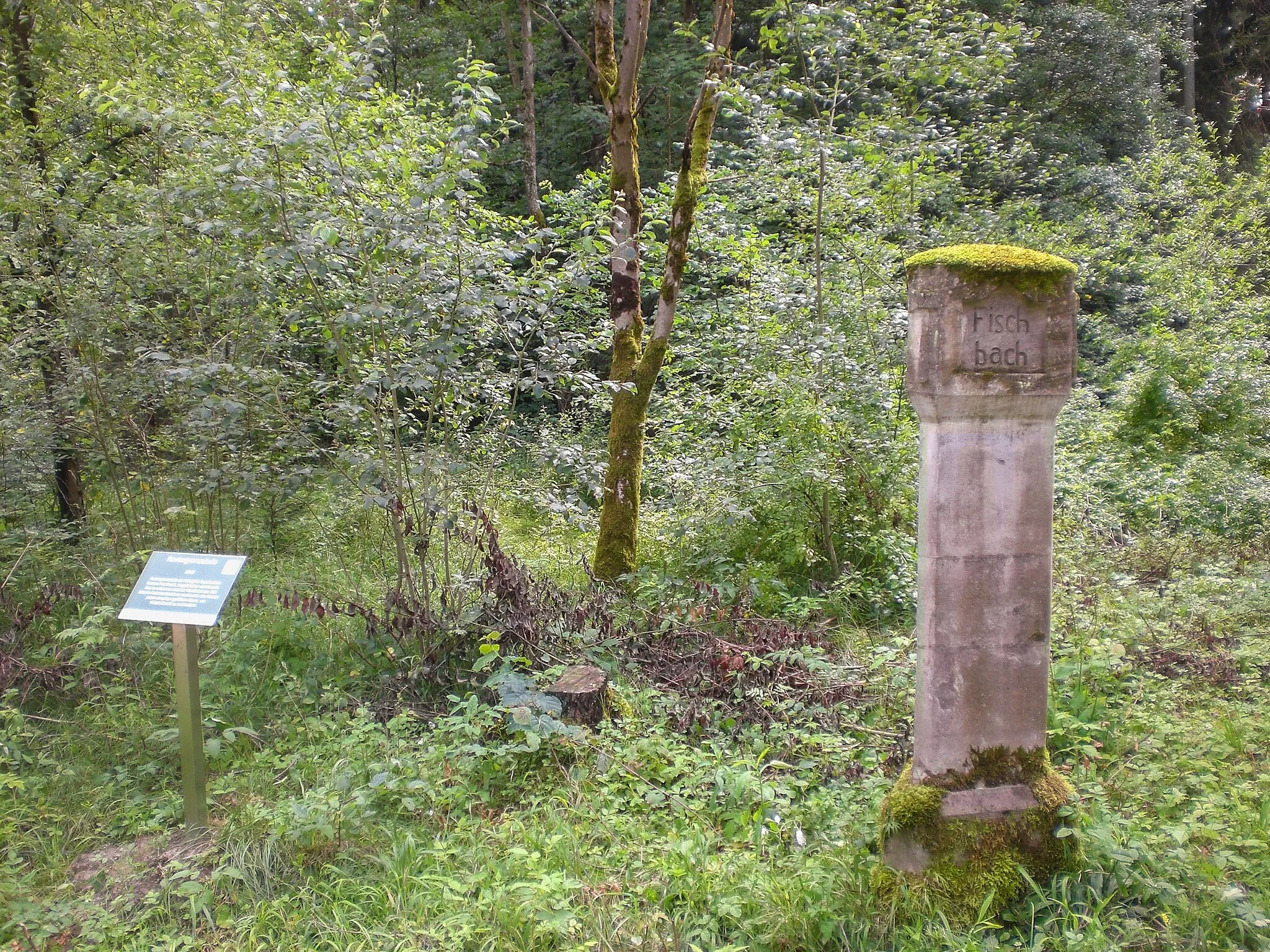 Photo showing: Forstreviergrenzstein, zwischen Moosbach und Birnthon, Ansicht