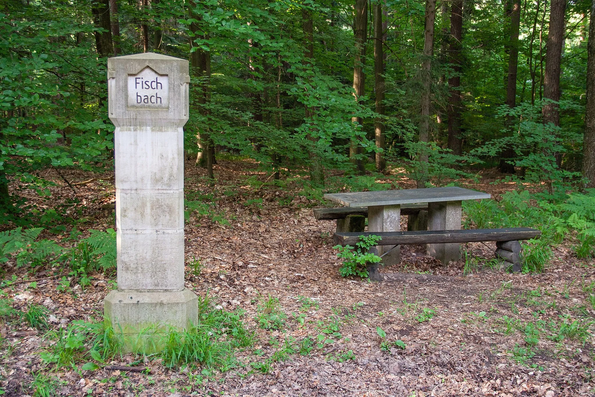 Photo showing: Forstreviergrenzstein, Hutberg, zwischen Feucht und Fischbach, Ansicht