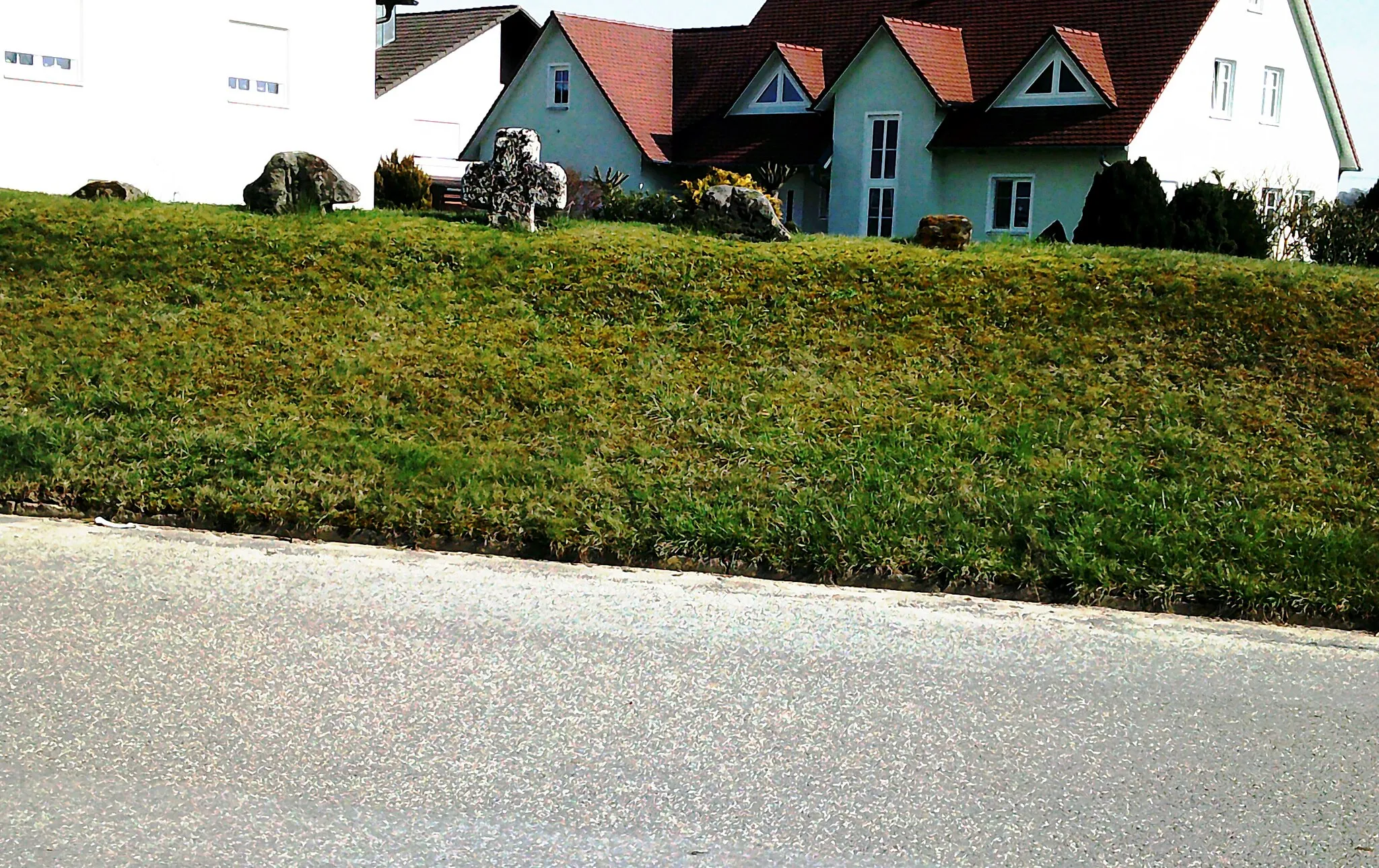 Photo showing: Am Dorfausgang Richtung Hausen (Hausener Straße) auf der Böschung, Straßenseite.