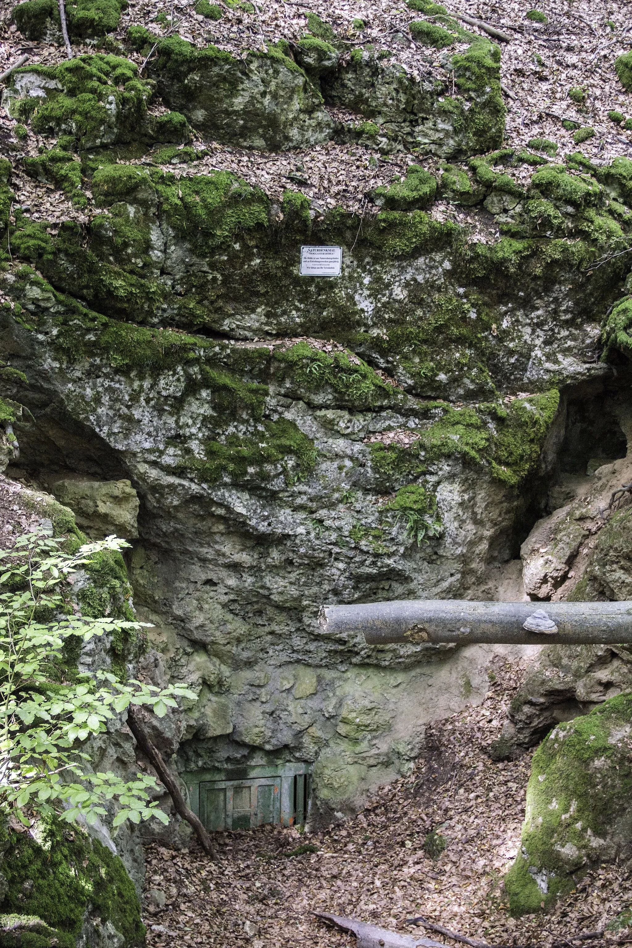 Photo showing: Moggaster Höhle, D 110