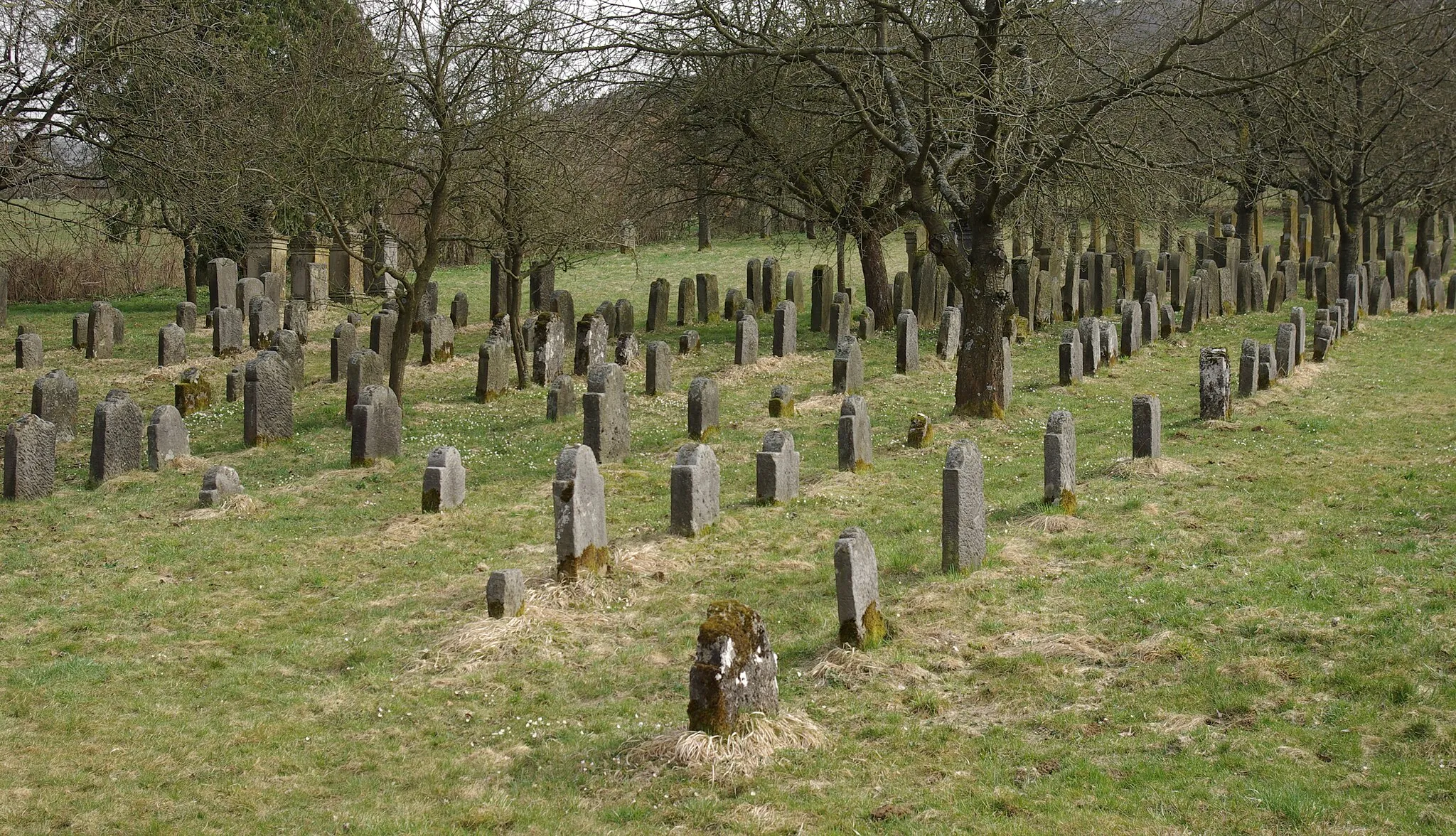 Photo showing: Jüdischer Friedhof in Hagenbach (Pretzfeld)