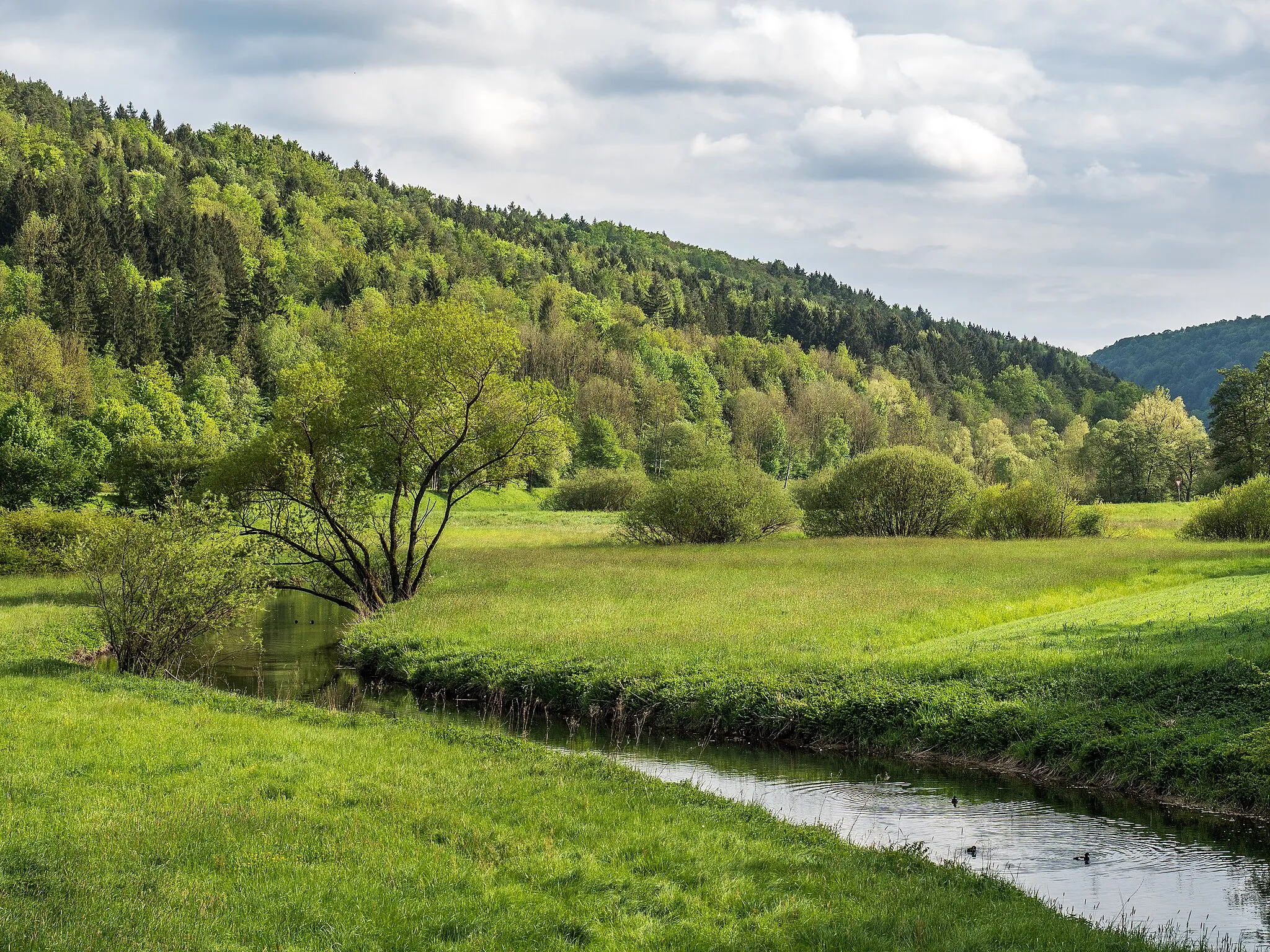Photo showing: Valley of the river Leinleiter in the LSG "Franconian Switzerland - Veldenstein Forest"