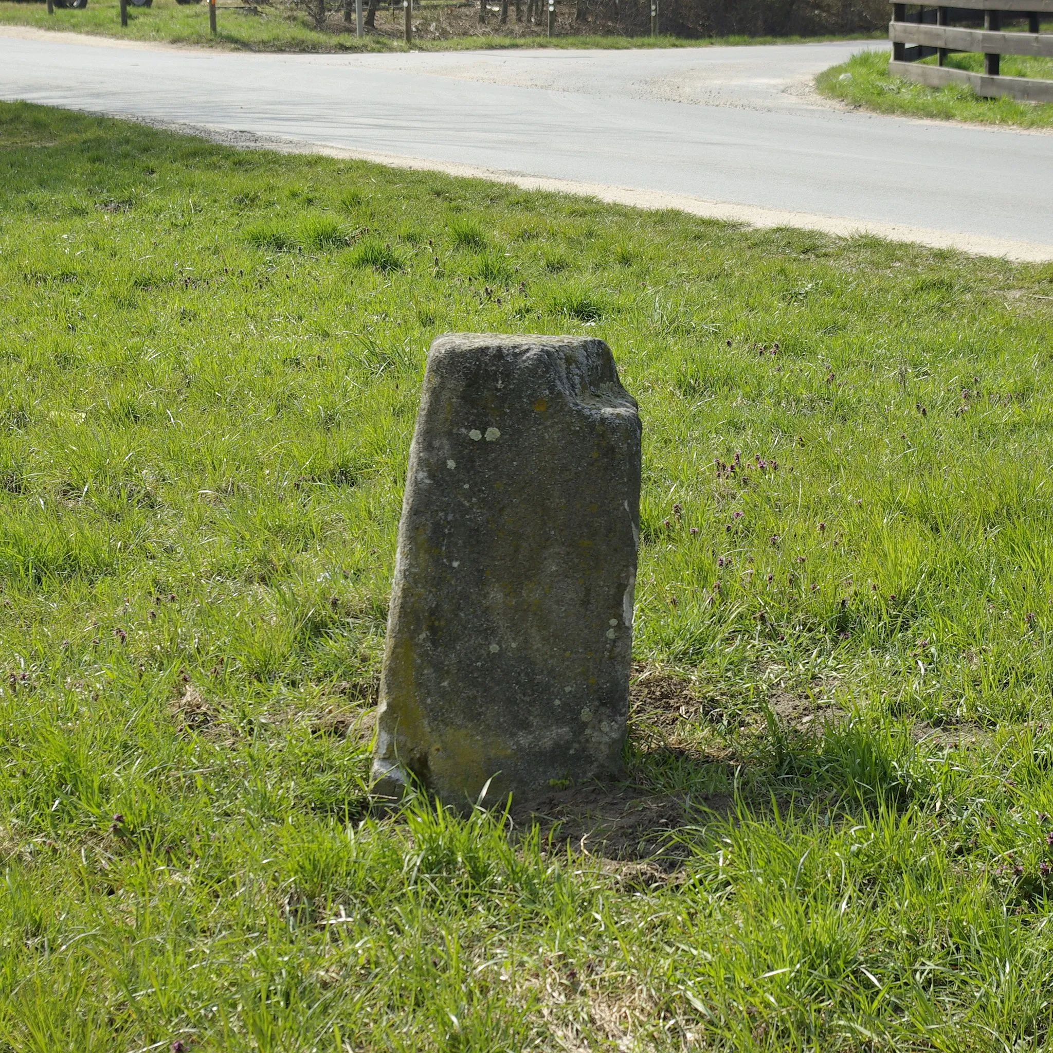 Photo showing: Der sogenannte Blaue Stein, ein mittelalterlicher Ruhstein, am Georg-Höfler-Weg im Nürnberger Stadtteil Schnepfenreuth. Bereits 1467 wurde er schriftlich genannt. Ursprünglich stand der Stein mitten im Acker, rund zwölf Meter nördlich der Bamberger Straße, etwa 80 Meter westlich der Abzweigung Frauntaler Weg. Seit 1994 befindet er sich am heutigen Standort.