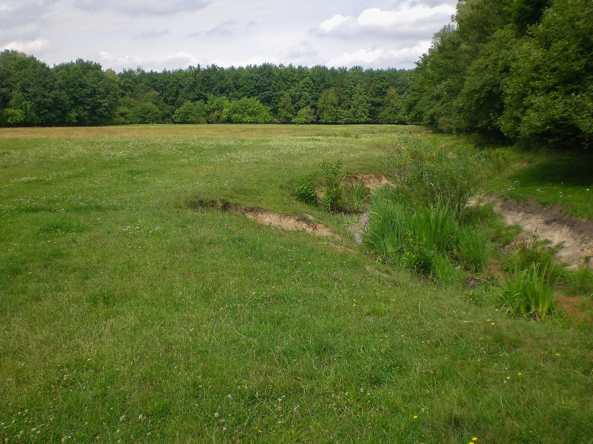 Photo showing: Landschaftsschutzgebiet Langwasser