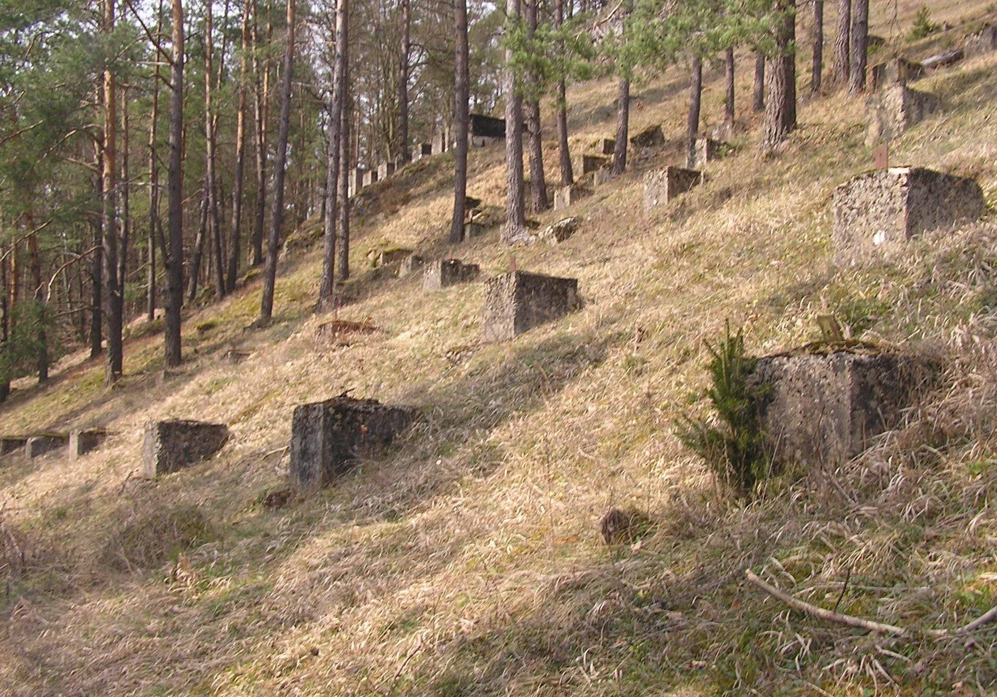 Photo showing: Remainders of the test construction site of the Deutsches Stadion (near Hirschbach in the Upper Palatinate)