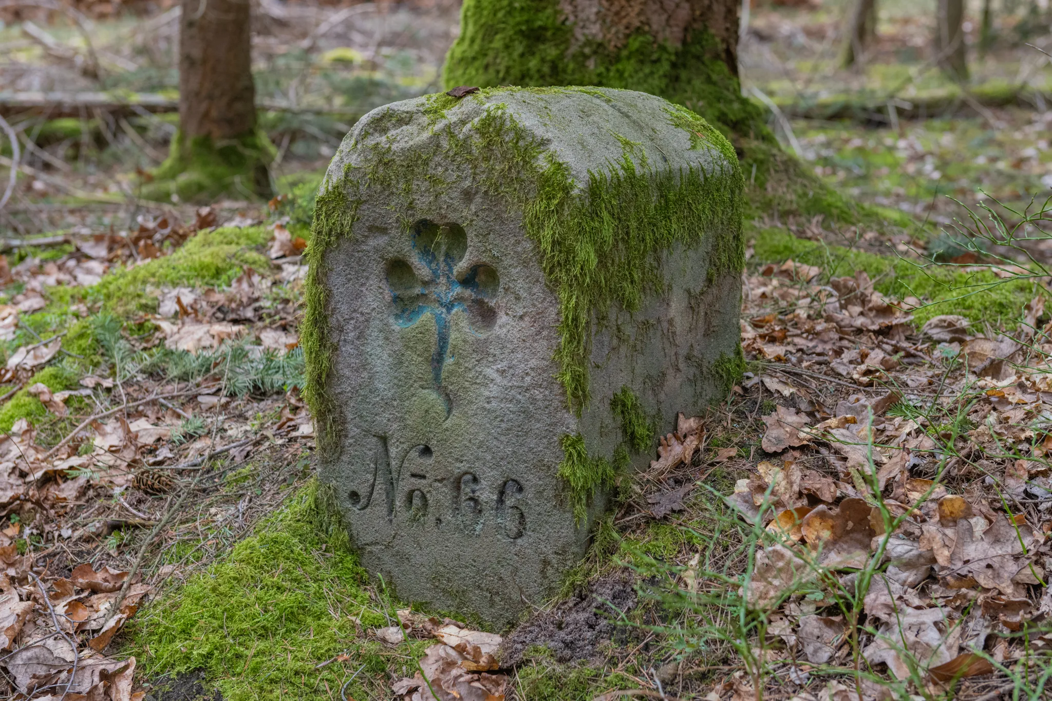 Photo showing: Baudenkmal,D-5-63-000-1852,Forstgrenzstein,Grenzstein