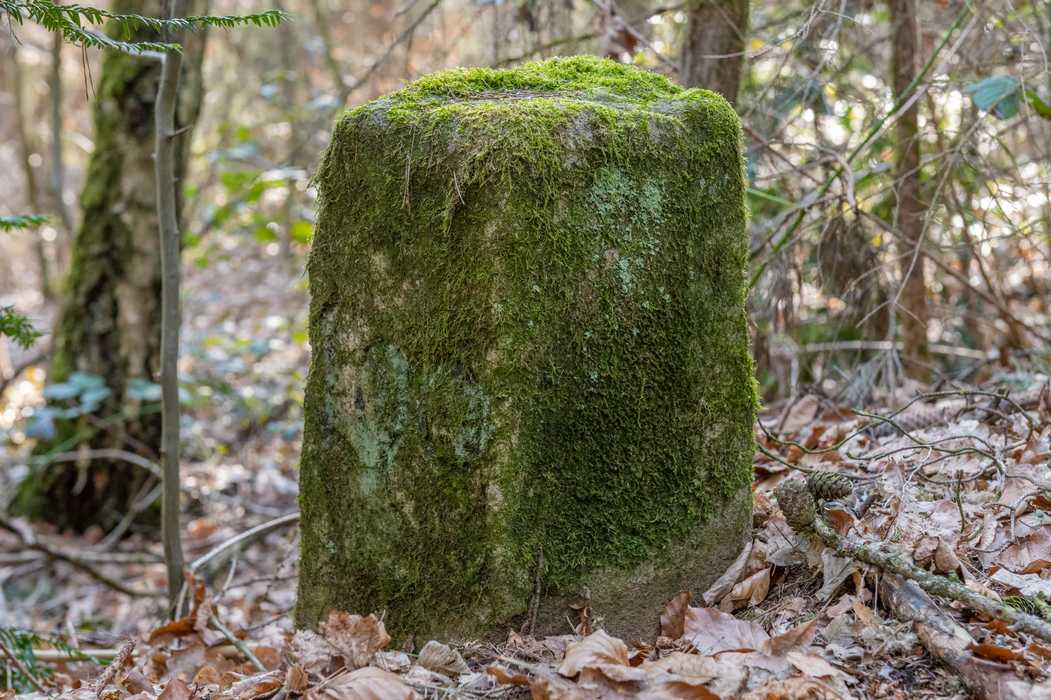 Photo showing: Baudenkmal,D-5-63-000-1854,Forstgrenzstein,Grenzstein