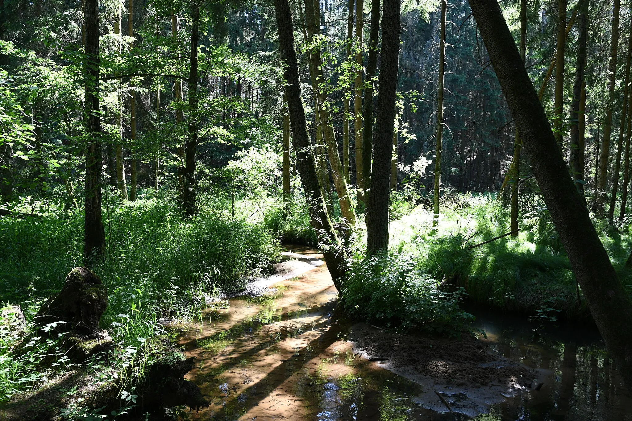 Photo showing: Röthenbach (Pegnitz) bachabwärts der Weiherkette von Ungelstetten