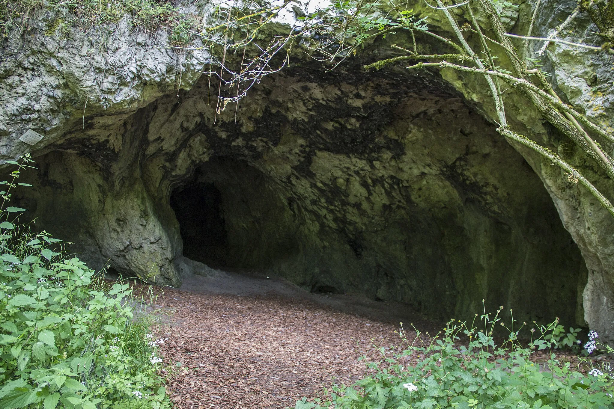 Photo showing: Karsthöhle, Großes Rohenloch, Velden, Geotop, Naturpark Fränkische Schweiz-Veldensteiner Forst