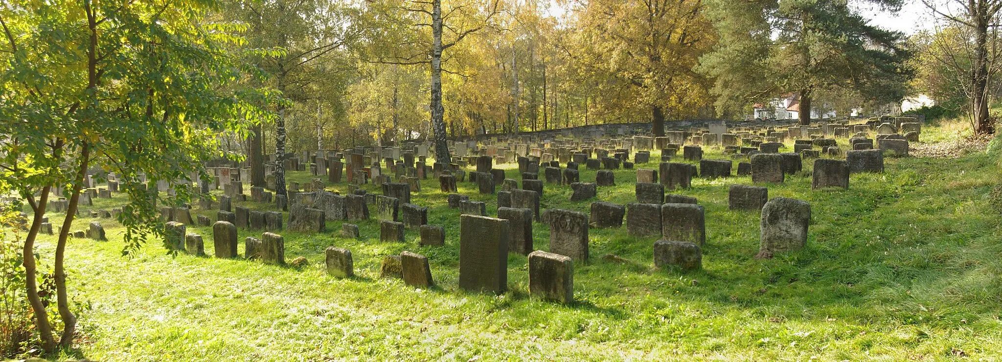 Photo showing: Jüdischer Friedhof in Georgensgmünd