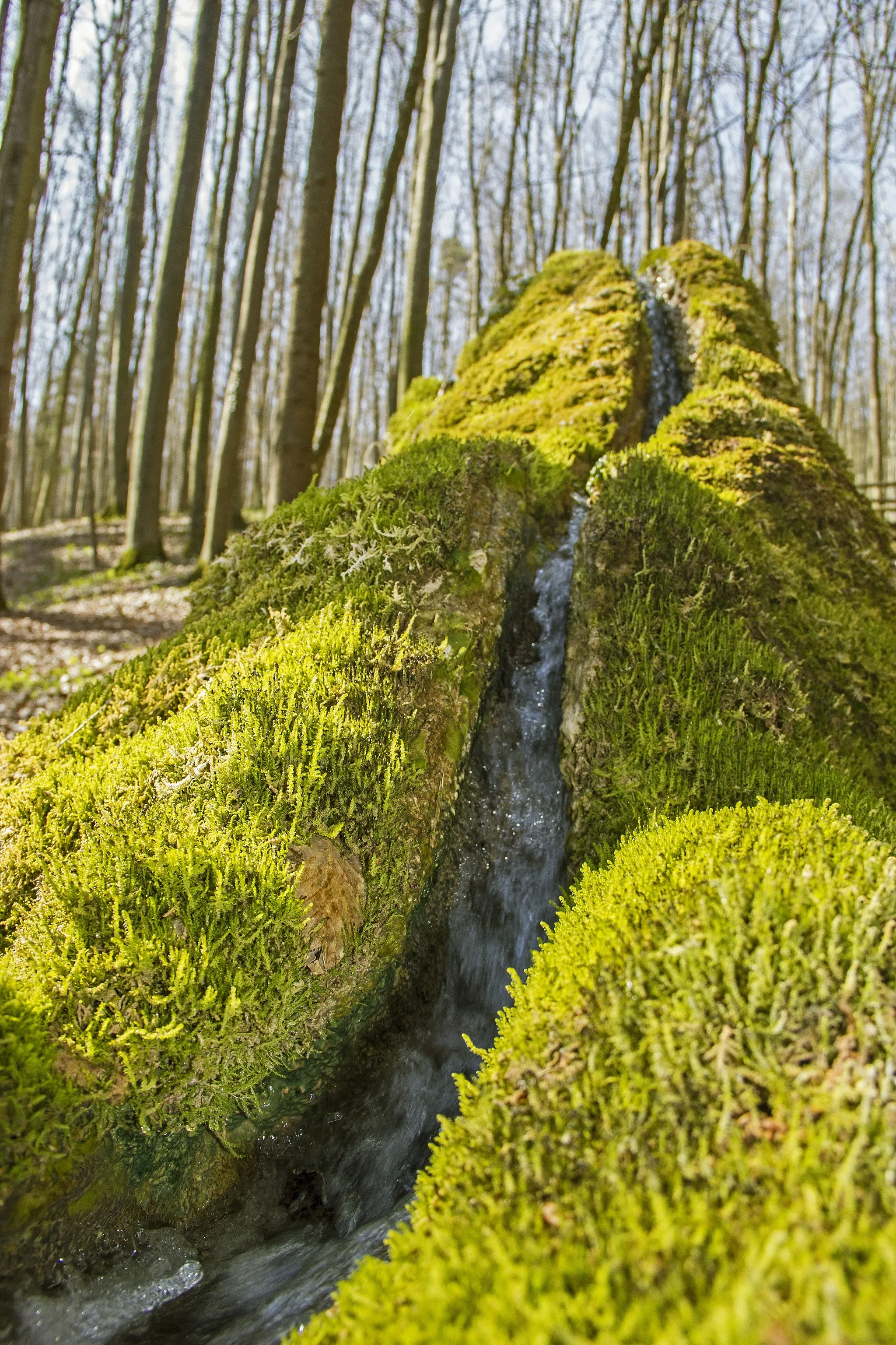 Photo showing: Steinerne Rinne, Wolfsbronn