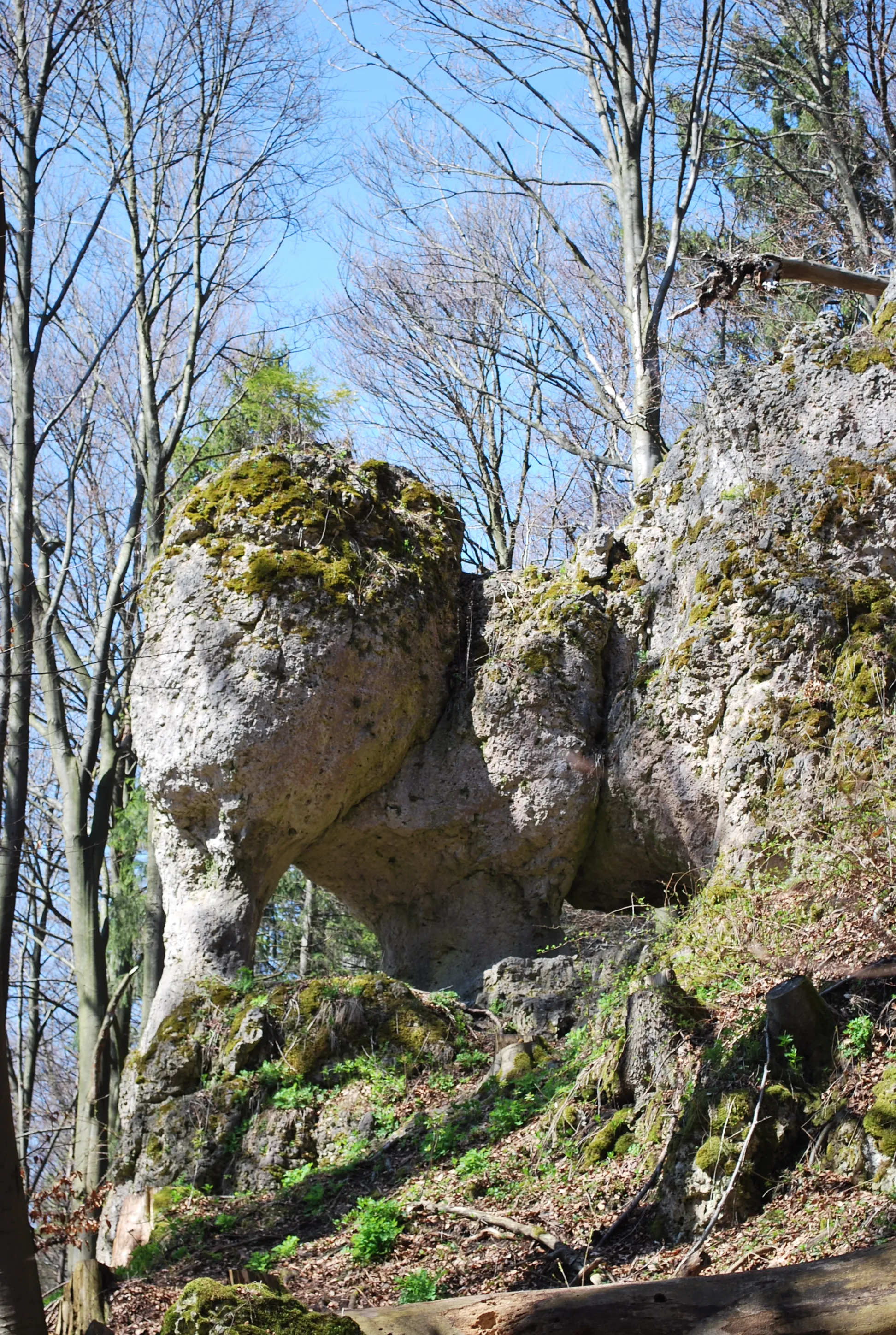 Photo showing: The stone Juralenfant near Betzenstein in the Franconian Switzerland