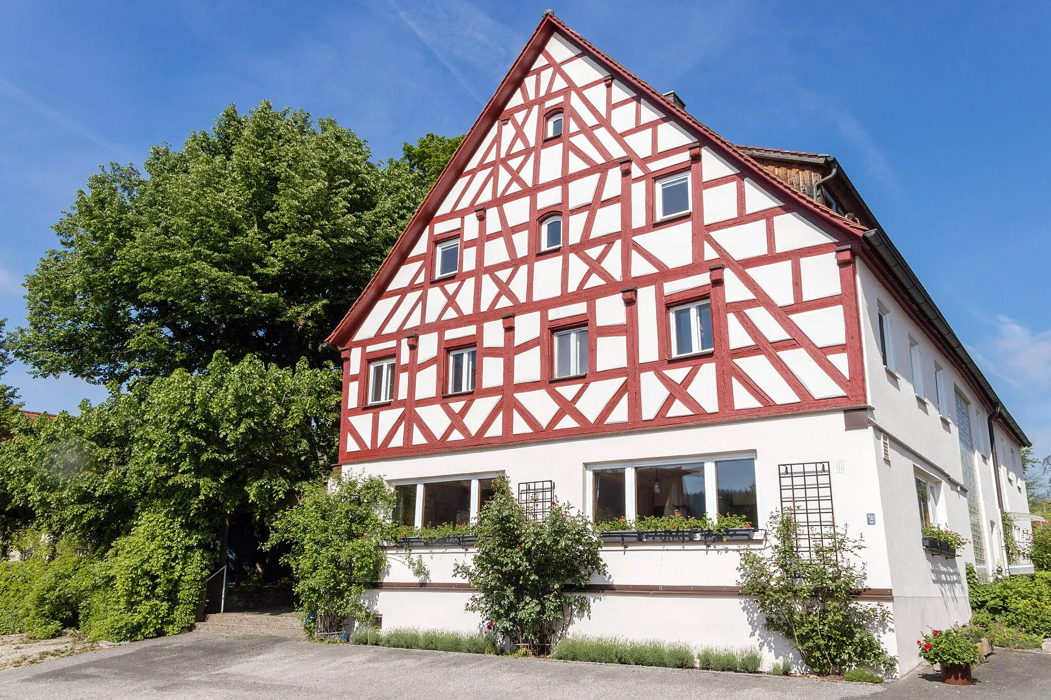 Photo showing: Schirmlinde, Kersbach, Naturdenkmal