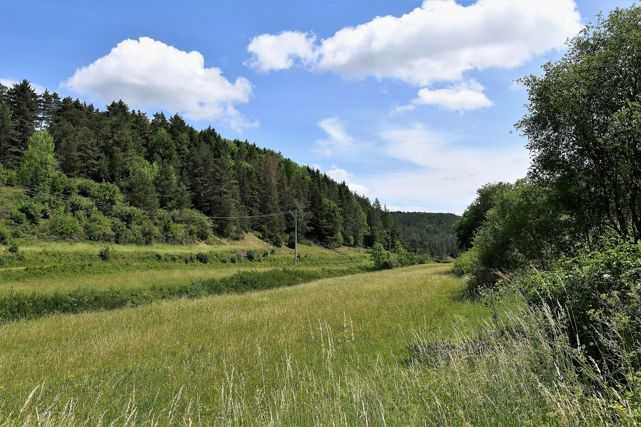 Photo showing: Naturschutzgebiet "Rinntal bei Alfeld"