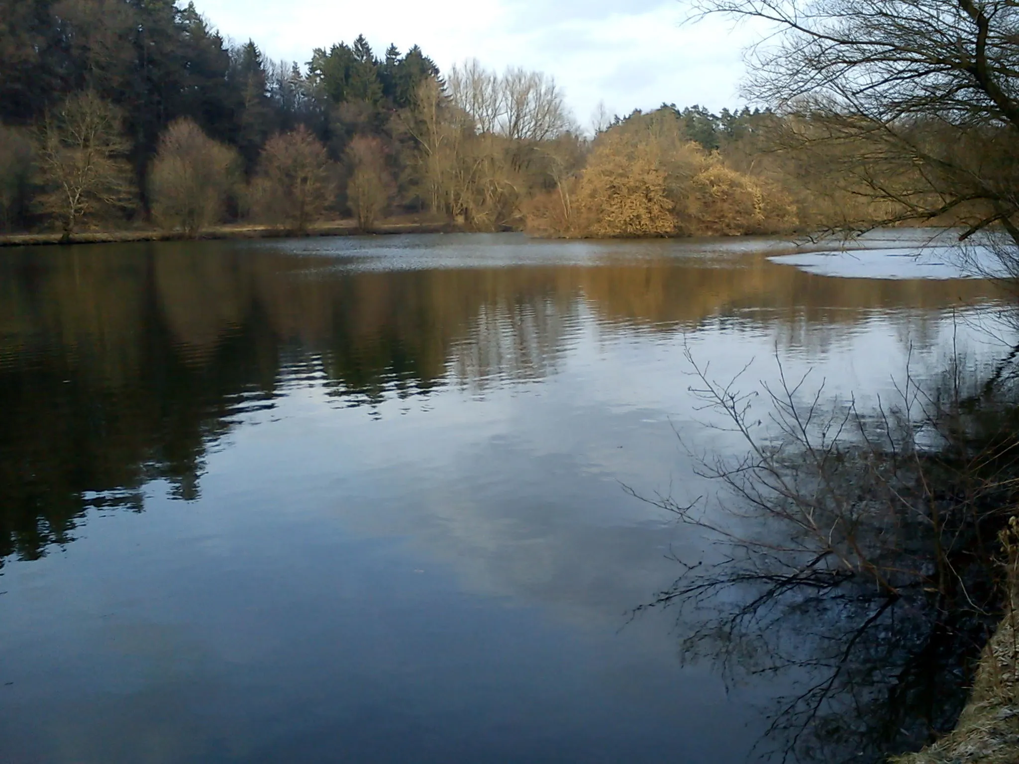 Photo showing: Fröschauer Weiher bei Schwarzenbruck