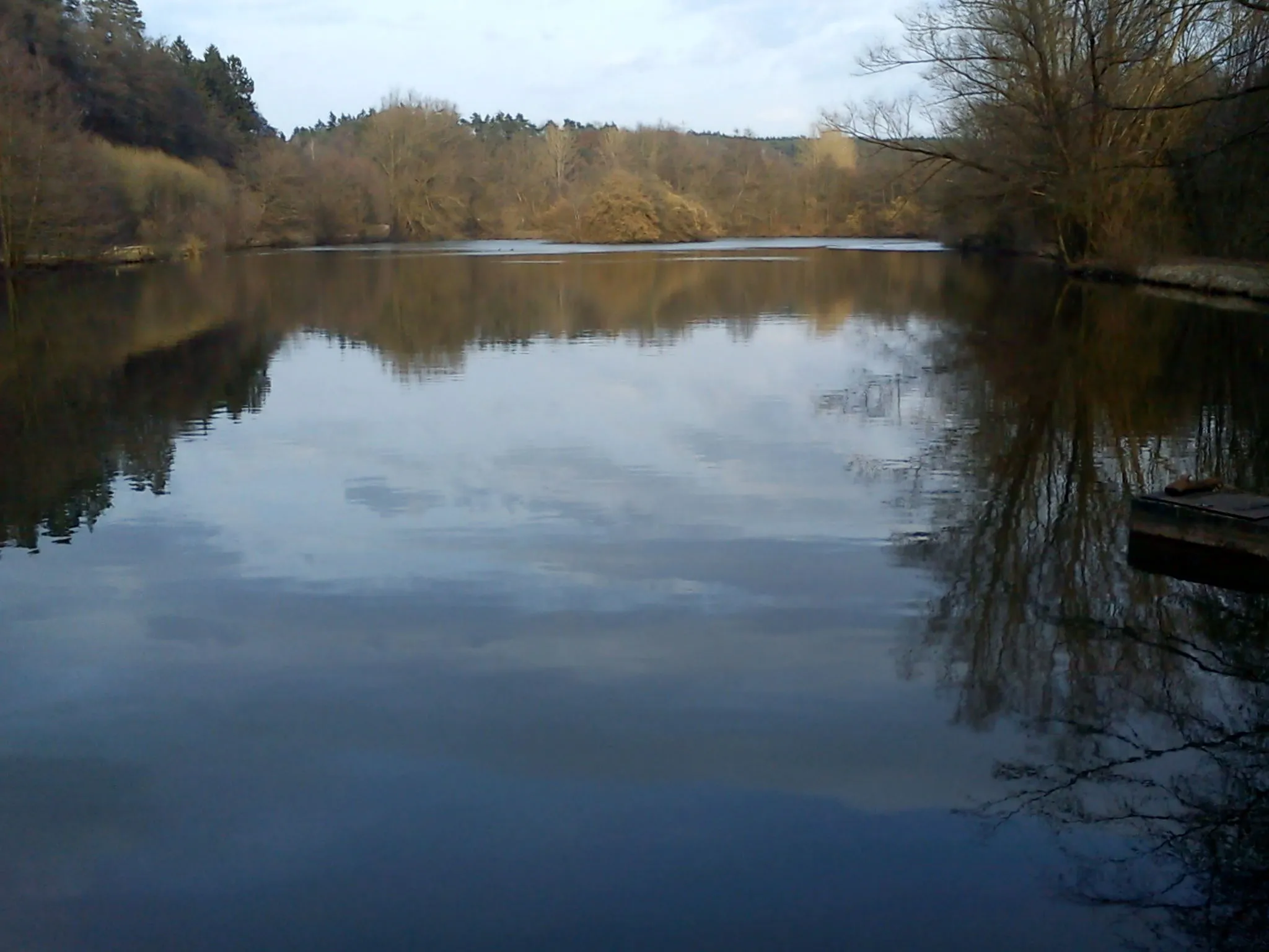 Photo showing: Fröschauer Weiher bei Schwarzenbruck