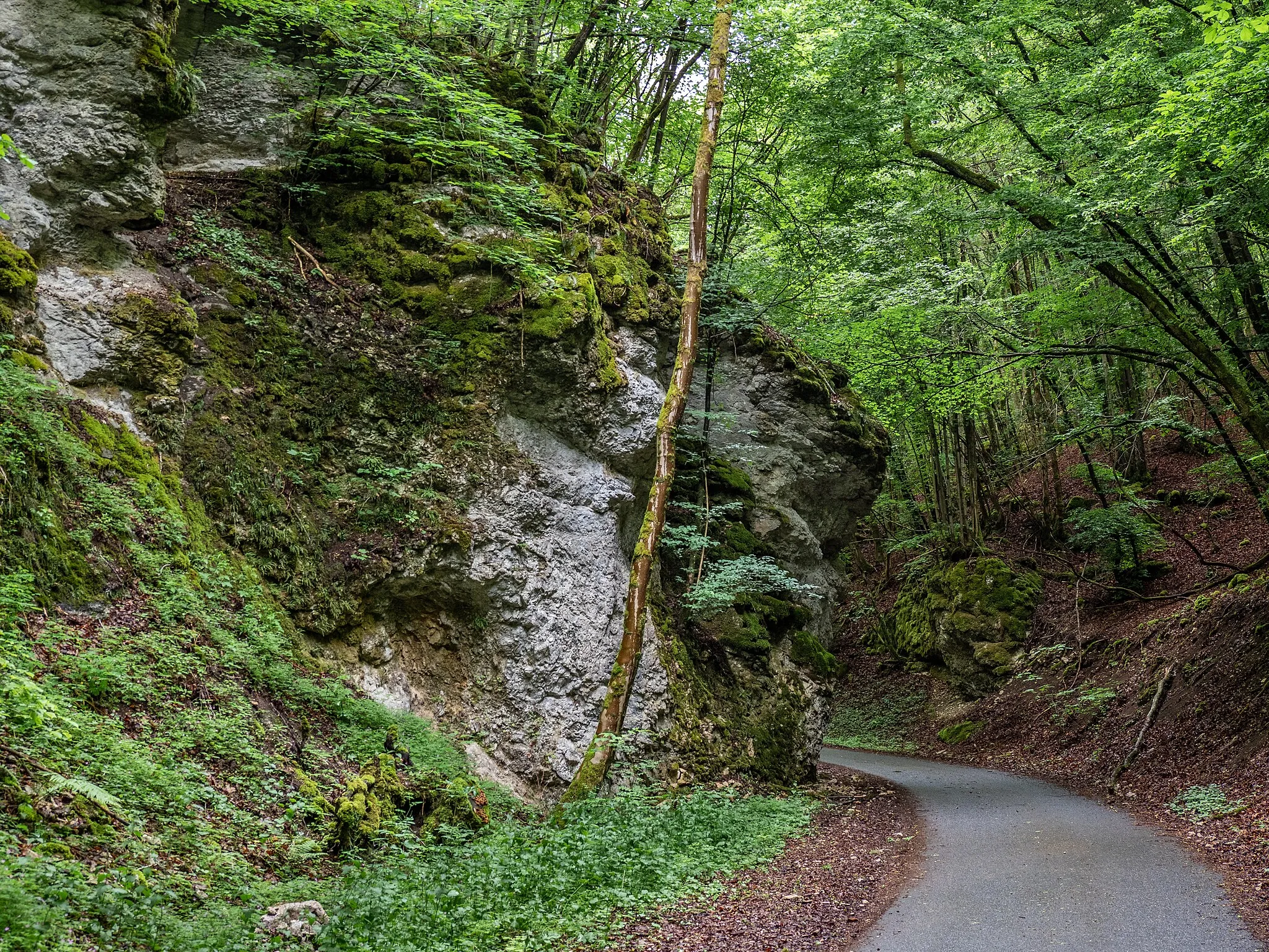 Photo showing: Rocks near Tiefenstürmig above the Eggerbach valley