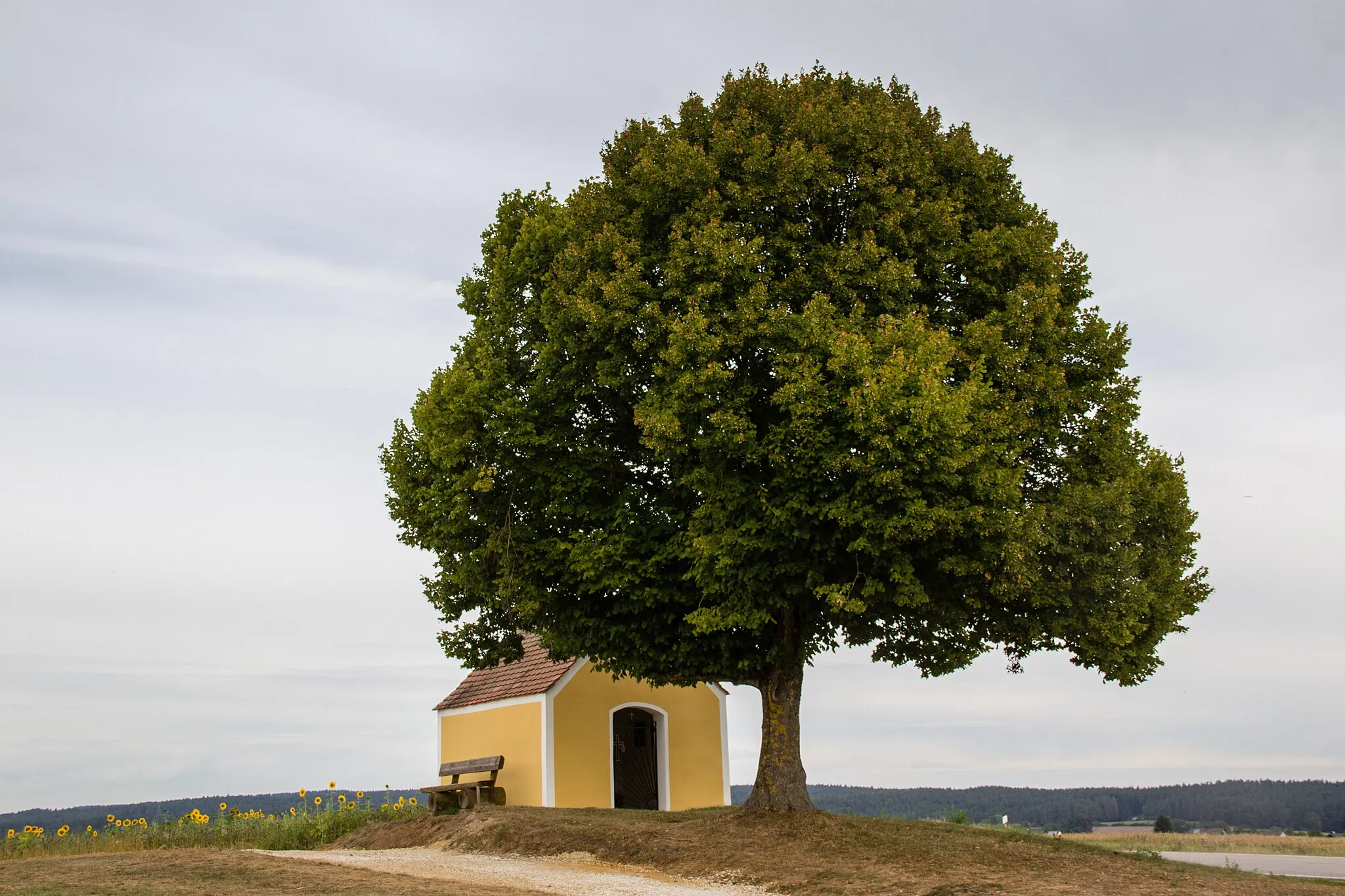 Photo showing: Maulkapelle, Feldkapelle, kleiner rechteckiger Satteldachbau, gewölbter Innenraum mit eingezogener Altarnische, wohl 18. Jahrhundert; mit Ausstattung, Krottensee