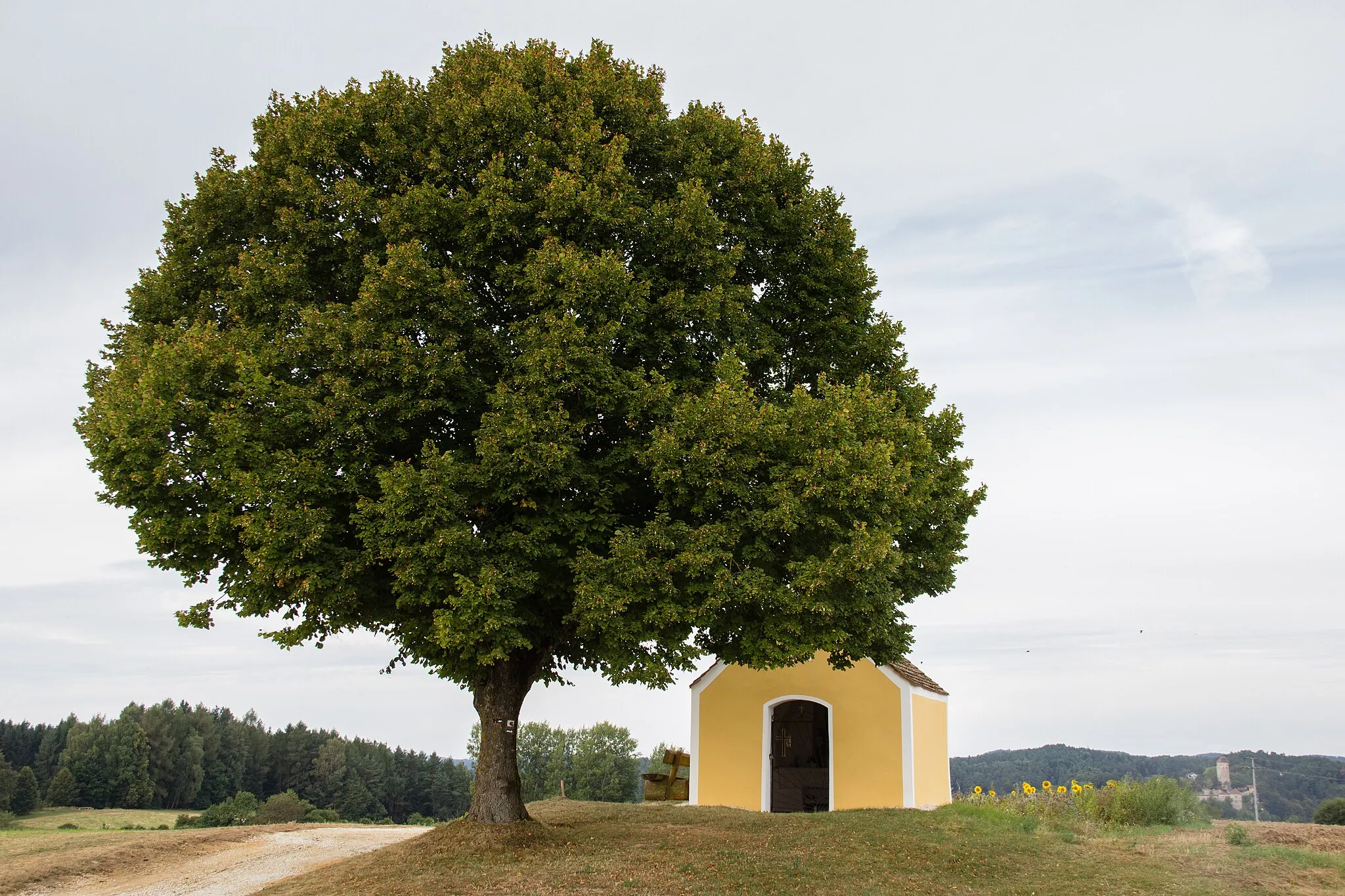 Photo showing: Maulkapelle, Feldkapelle, kleiner rechteckiger Satteldachbau, gewölbter Innenraum mit eingezogener Altarnische, wohl 18. Jahrhundert; mit Ausstattung, Krottensee