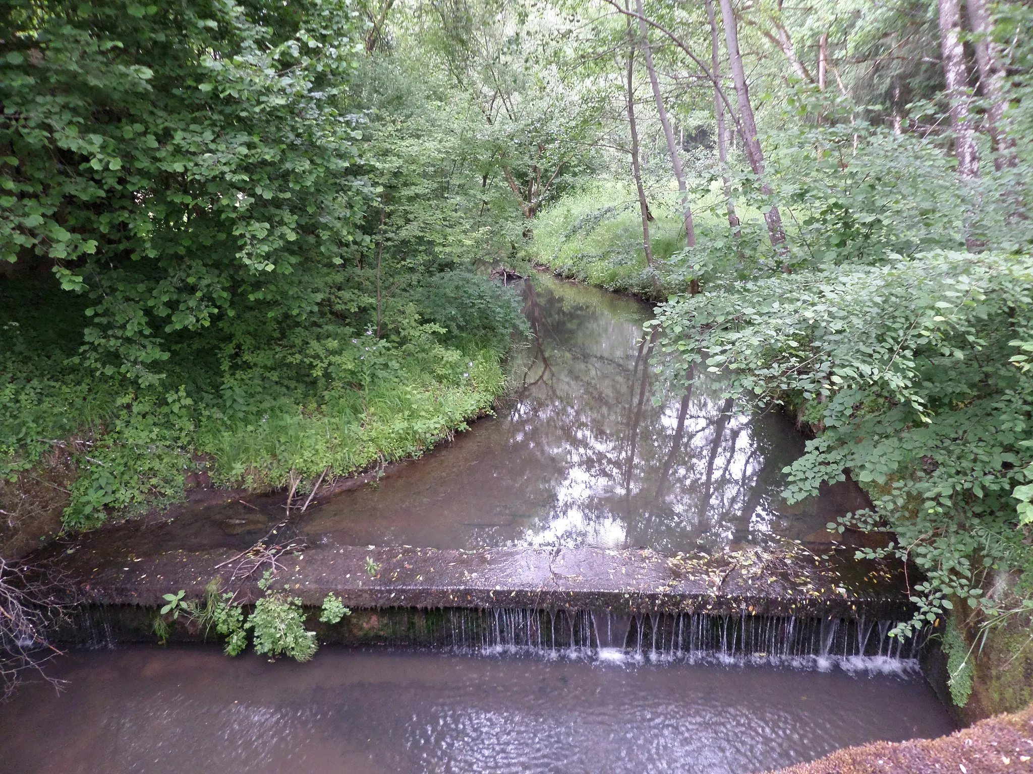 Photo showing: Haidelbach beim Wasserwerk Krämersweiher