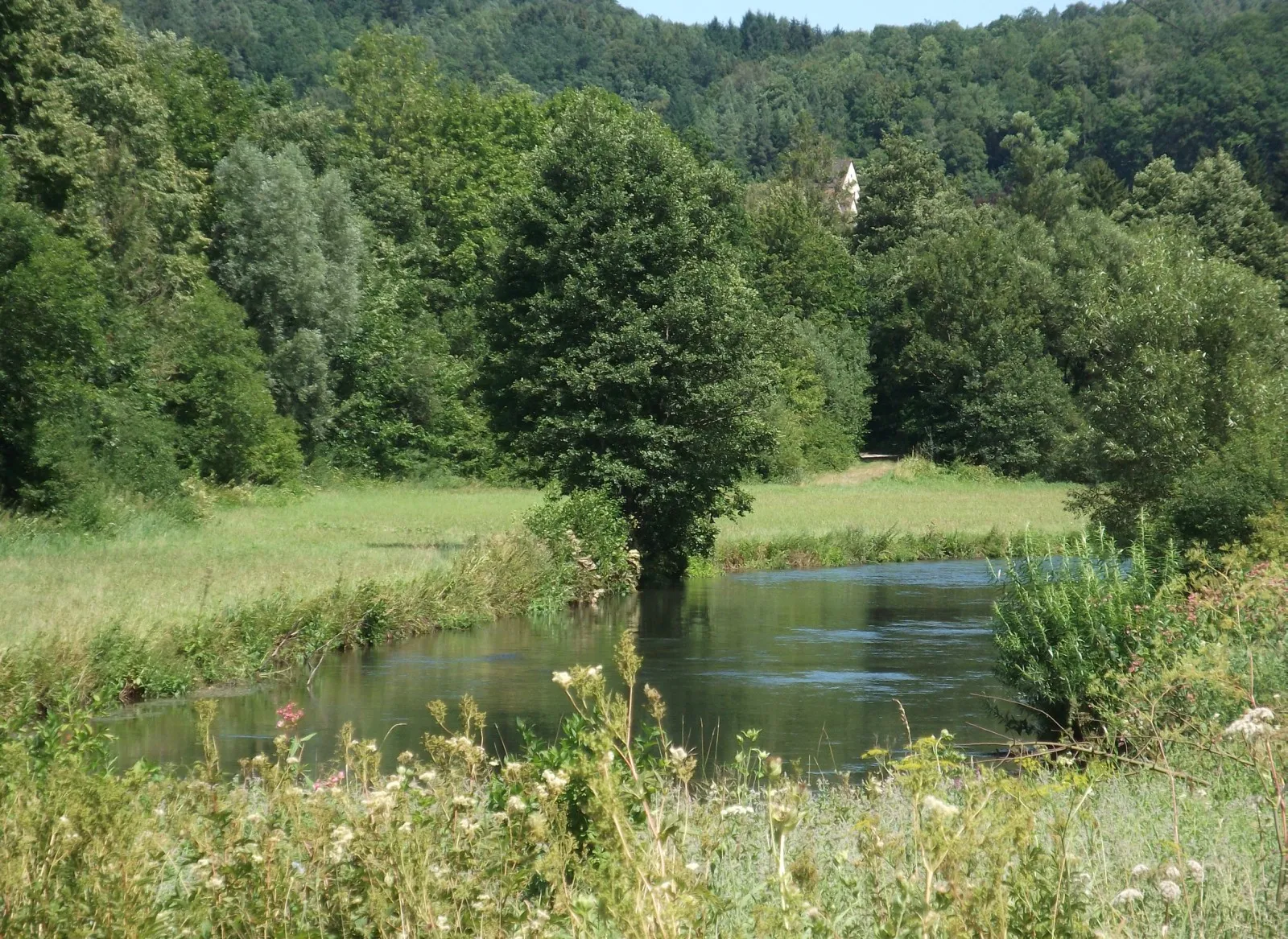 Photo showing: Pegnitz-Idylle