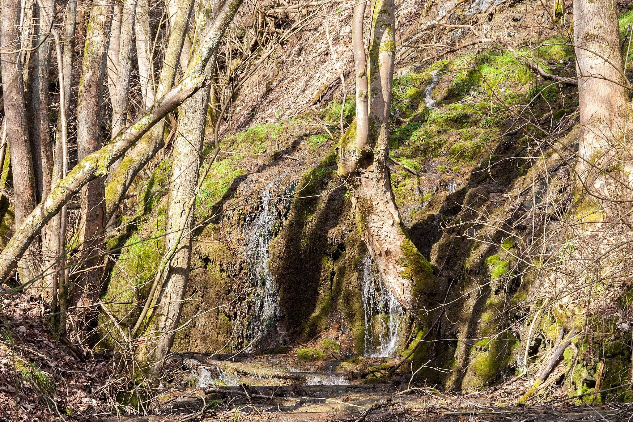 Photo showing: Bachlauf, Düsselbach, Vorra, Nürnberger Land, Sinter, LSG Nördlicher Jura