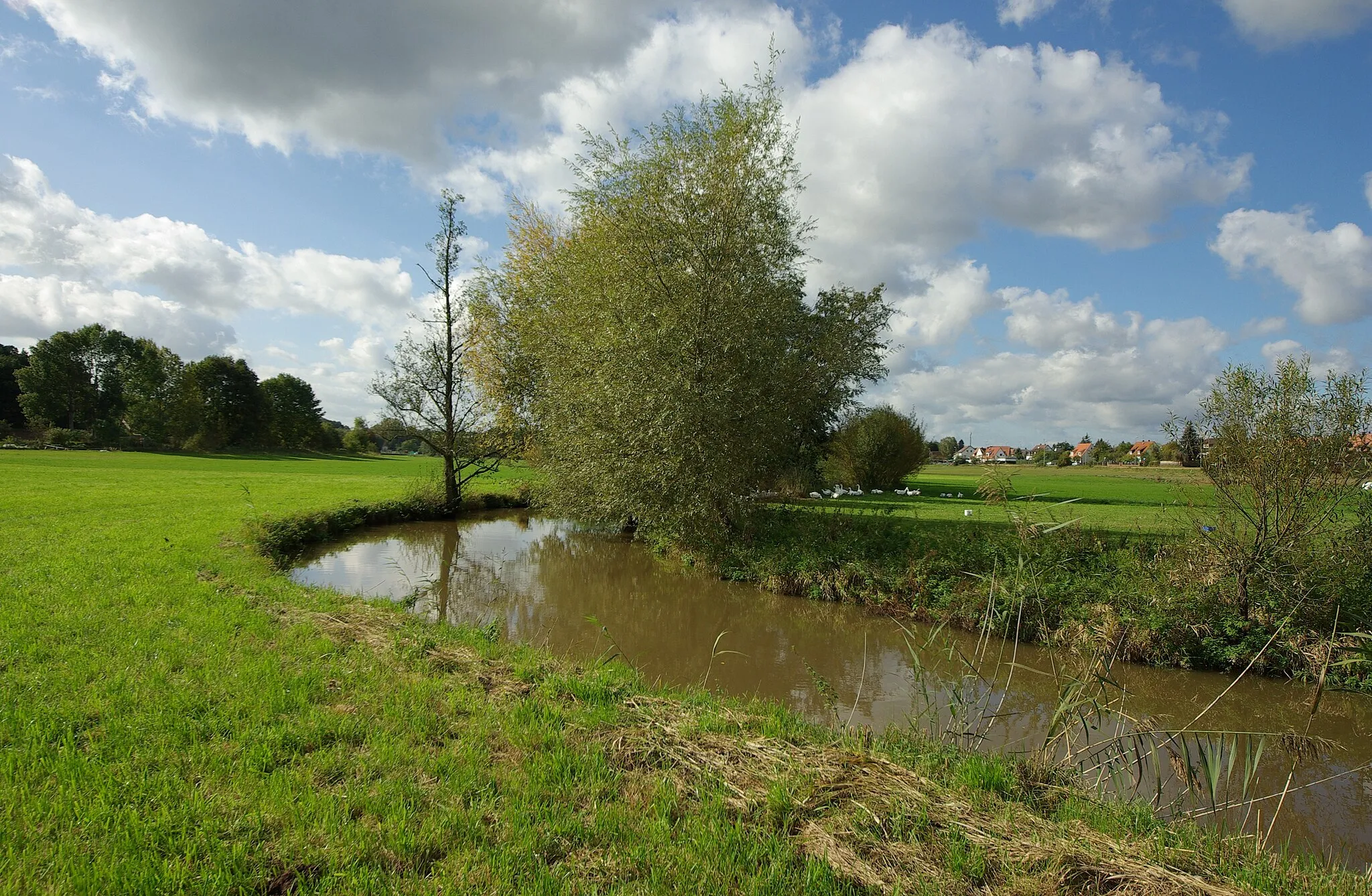 Photo showing: Der Fluss Aurach bei Neuses (Erlangen). Im Hintergrund liegt Niederndorf (Herzogenaurach). Die Aurach bildet hier die Grenze zwischen der kreisfreien Stadt Erlangen und dem Landkreis Landkreis Erlangen-Höchstadt.