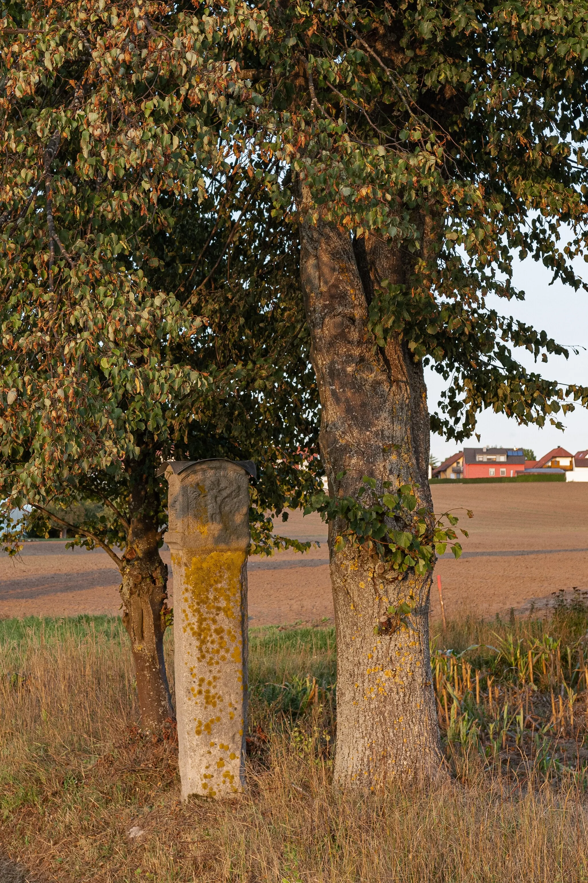 Photo showing: This is a photograph of an architectural monument. It is on the list of cultural monuments of Bayern, no. D-5-72-135-130.