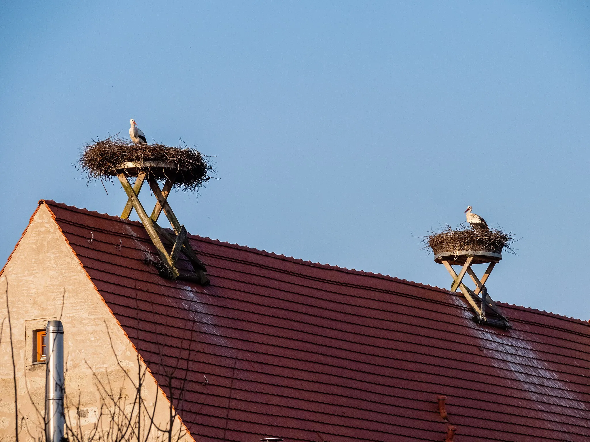 Photo showing: Both stork nests in Stolzenroth in Upper Franconia