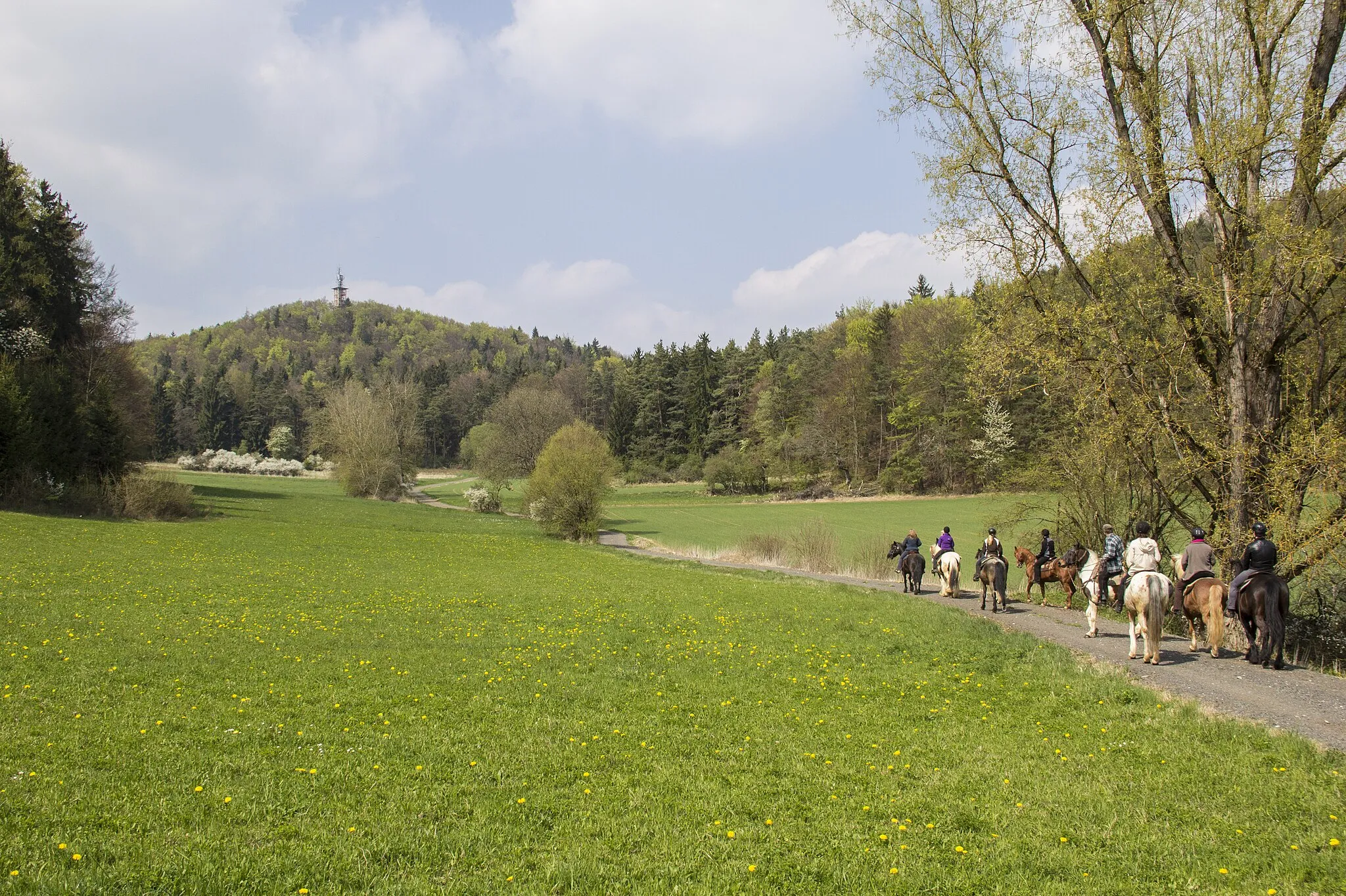 Photo showing: Ossinger, Naturpark Fränkische Schweiz-Veldensteiner Forst, Königstein, Reiterfrühling