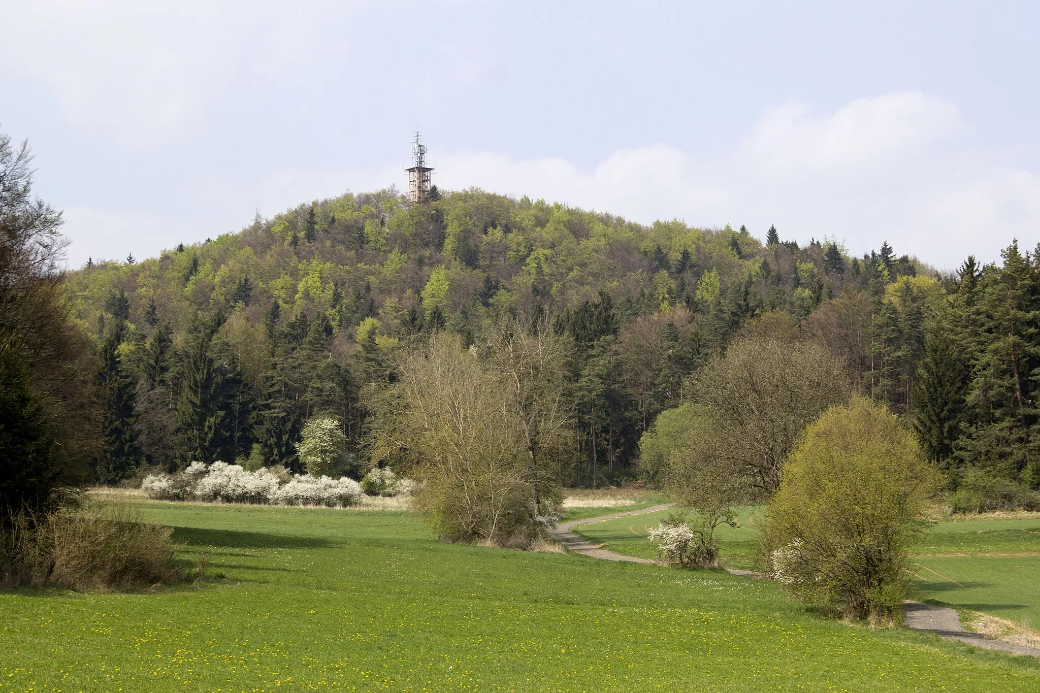 Photo showing: Ossinger, Naturpark Fränkische Schweiz-Veldensteiner Forst, Königstein, Frühling, Blick von Südosten