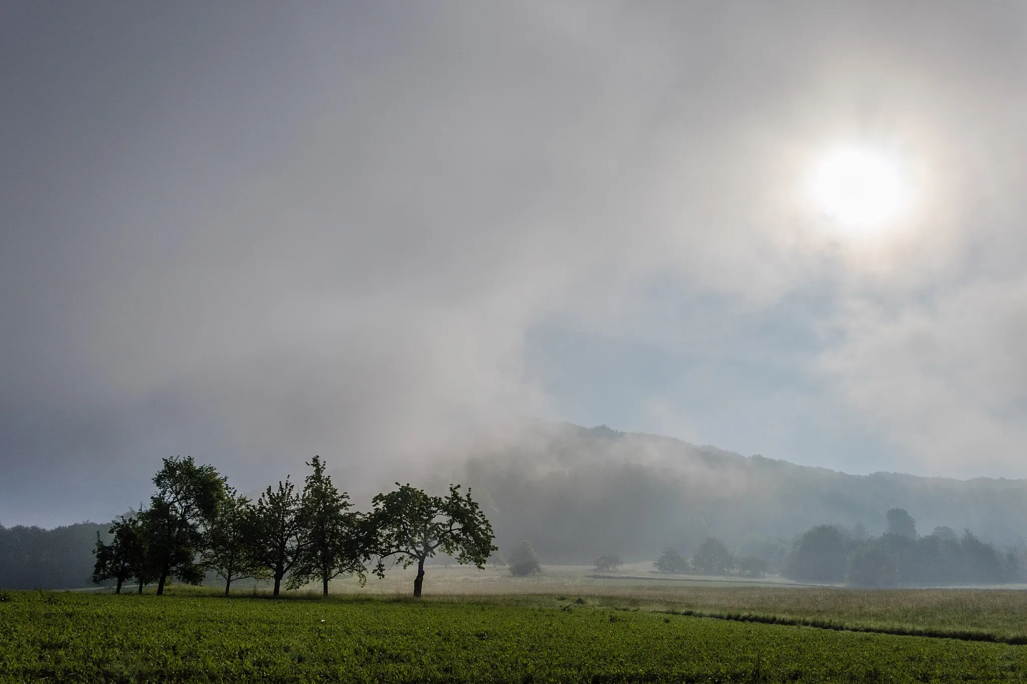 Photo showing: Glatzenstein, Ausweisung des LSG "Nördlicher Jura"