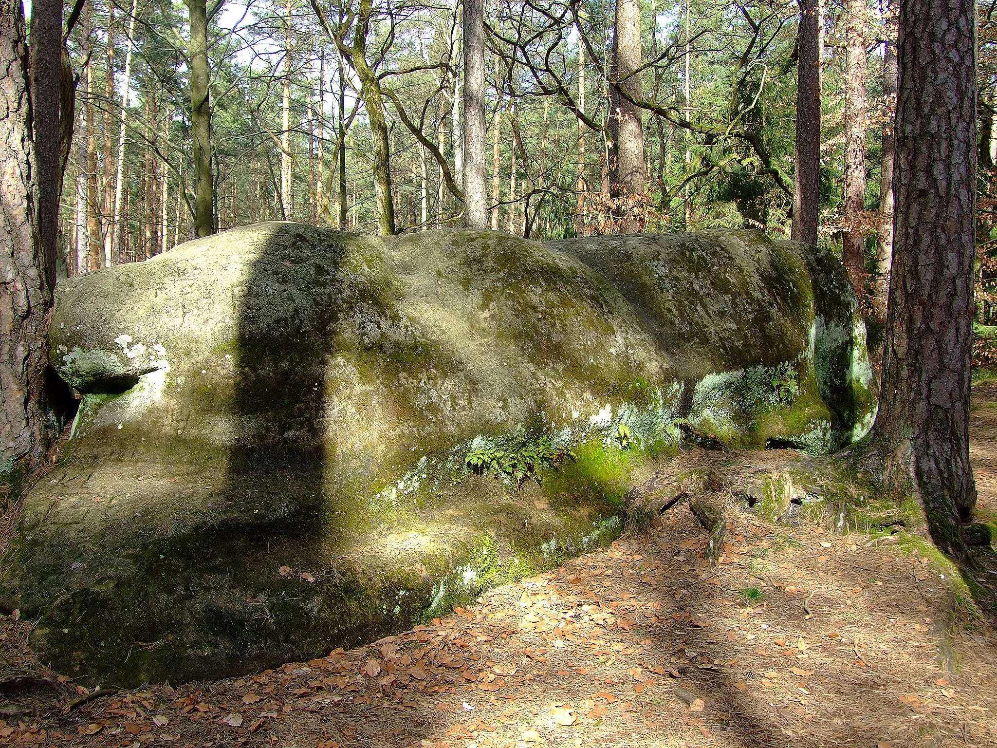 Photo showing: Druidenstein bei Mäbenberg, Landkreis Roth, Bayern, Deutschland.