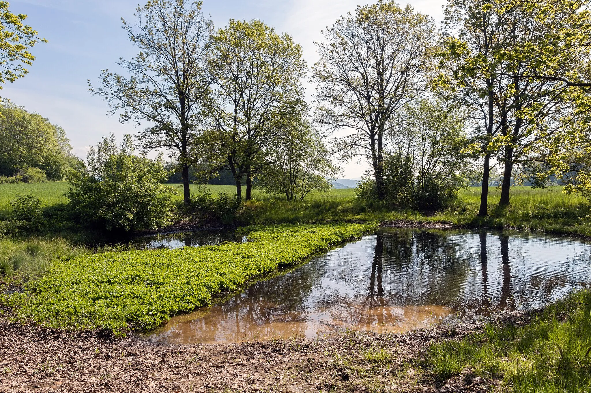 Photo showing: Seeanger bei Oberkrumbach, Geschützter Landschaftsbestandteil, Ausweisung des LSG "Nördlicher Jura"