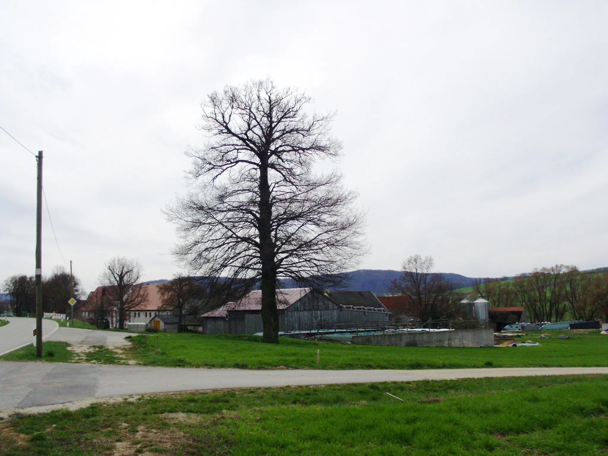 Photo showing: Lengenfeld, Ortsteil von Alesheim im Landkreis Weißenburg-Gunzenhausen, Bayern