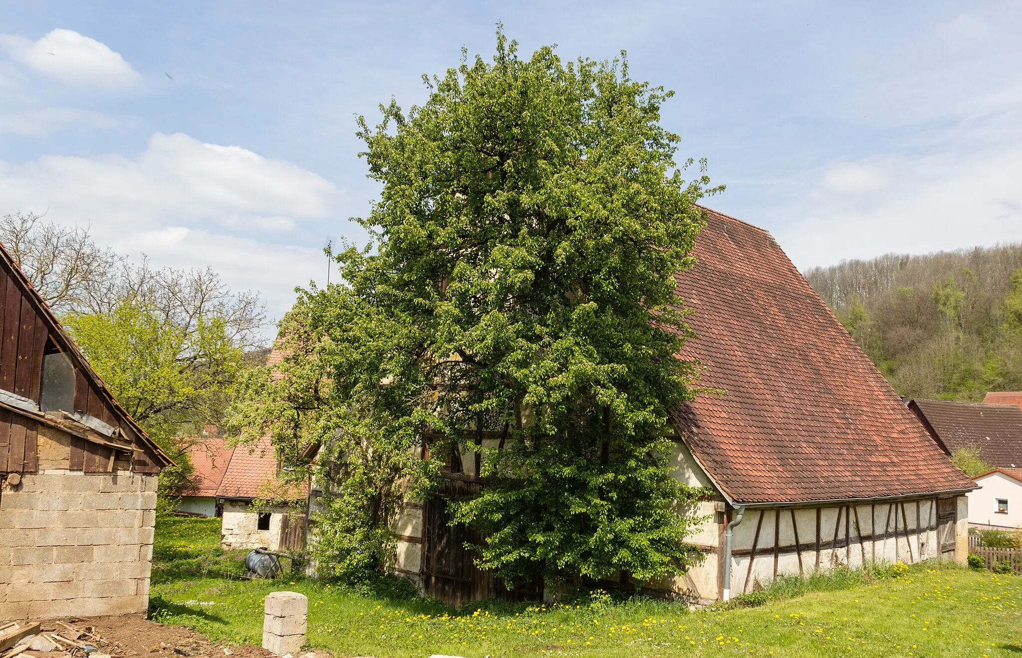 Photo showing: Breitenbrunn, Offenhausen, Scheune