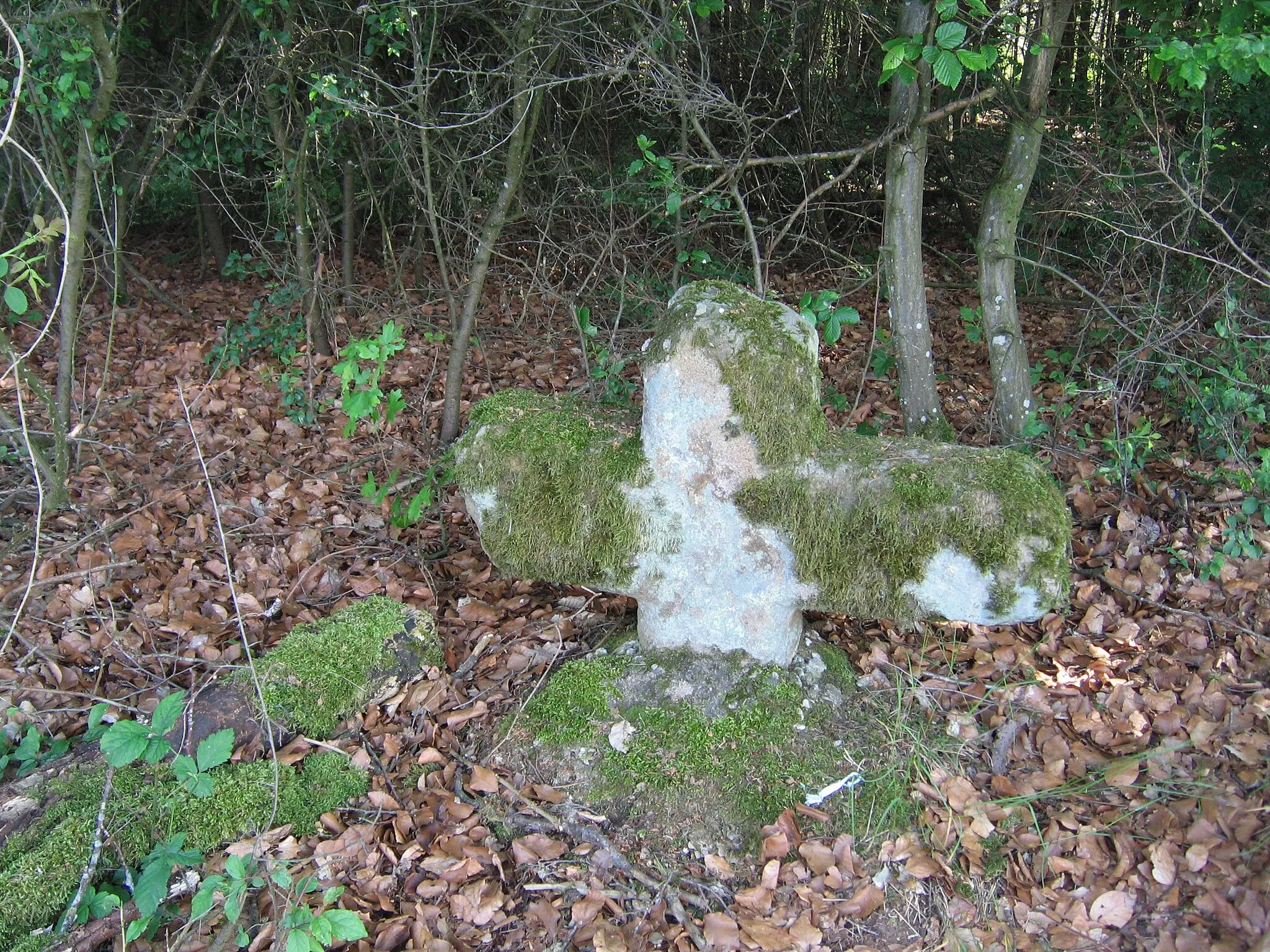 Photo showing: Steinkreuz zwischen Steinach am Wald und Aidenau (bei Gunzendorf/Geslau)