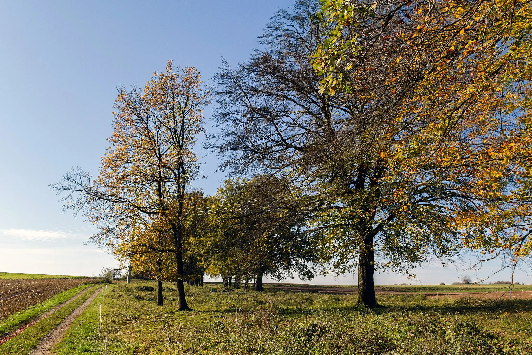 Photo showing: Hutanger bei Raschbach, Landschaftsschutzgebiet Südlicher Jura mit Moritzberg und Umgebung