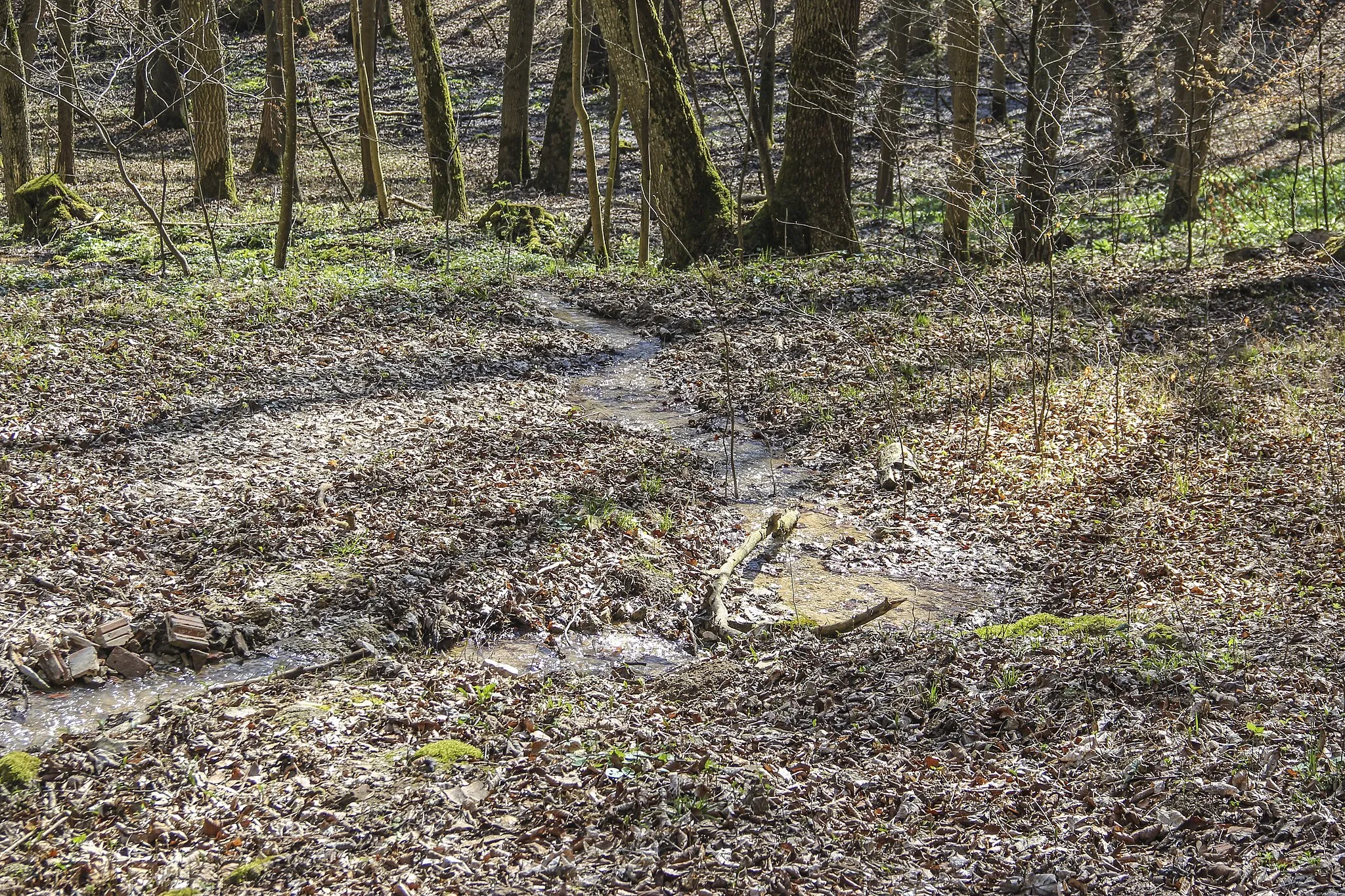 Photo showing: Bachlauf, Sinterbecken, Wolfsbronn, Meinheim