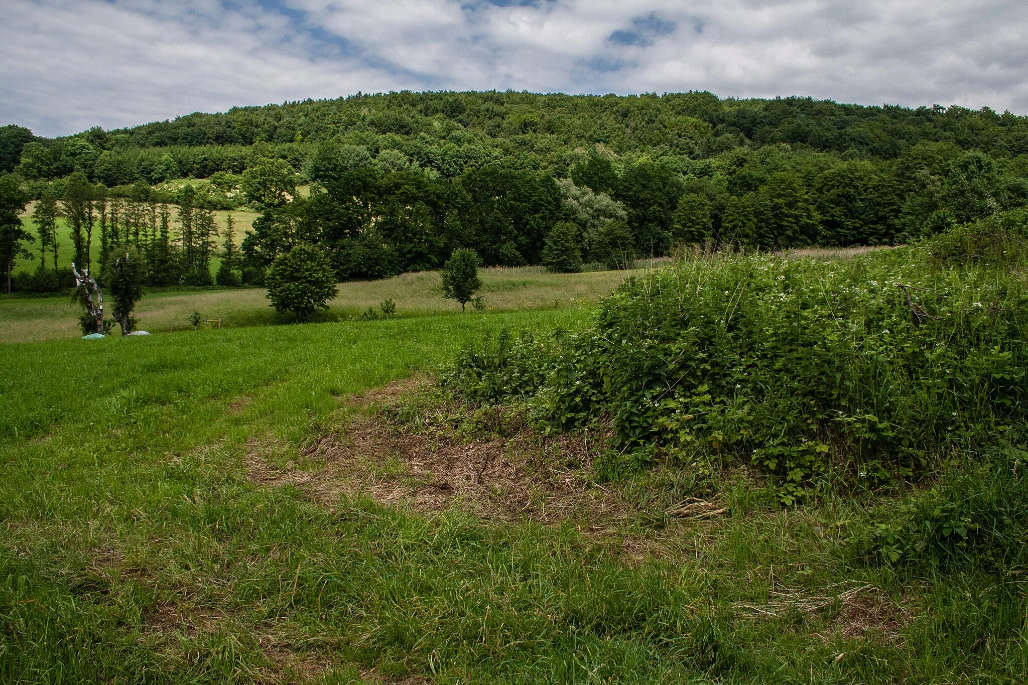 Photo showing: Nonnenberg, Engeltal, Ausweisung des LSG "Südlicher Jura mit Moritzberg und Umgebung"