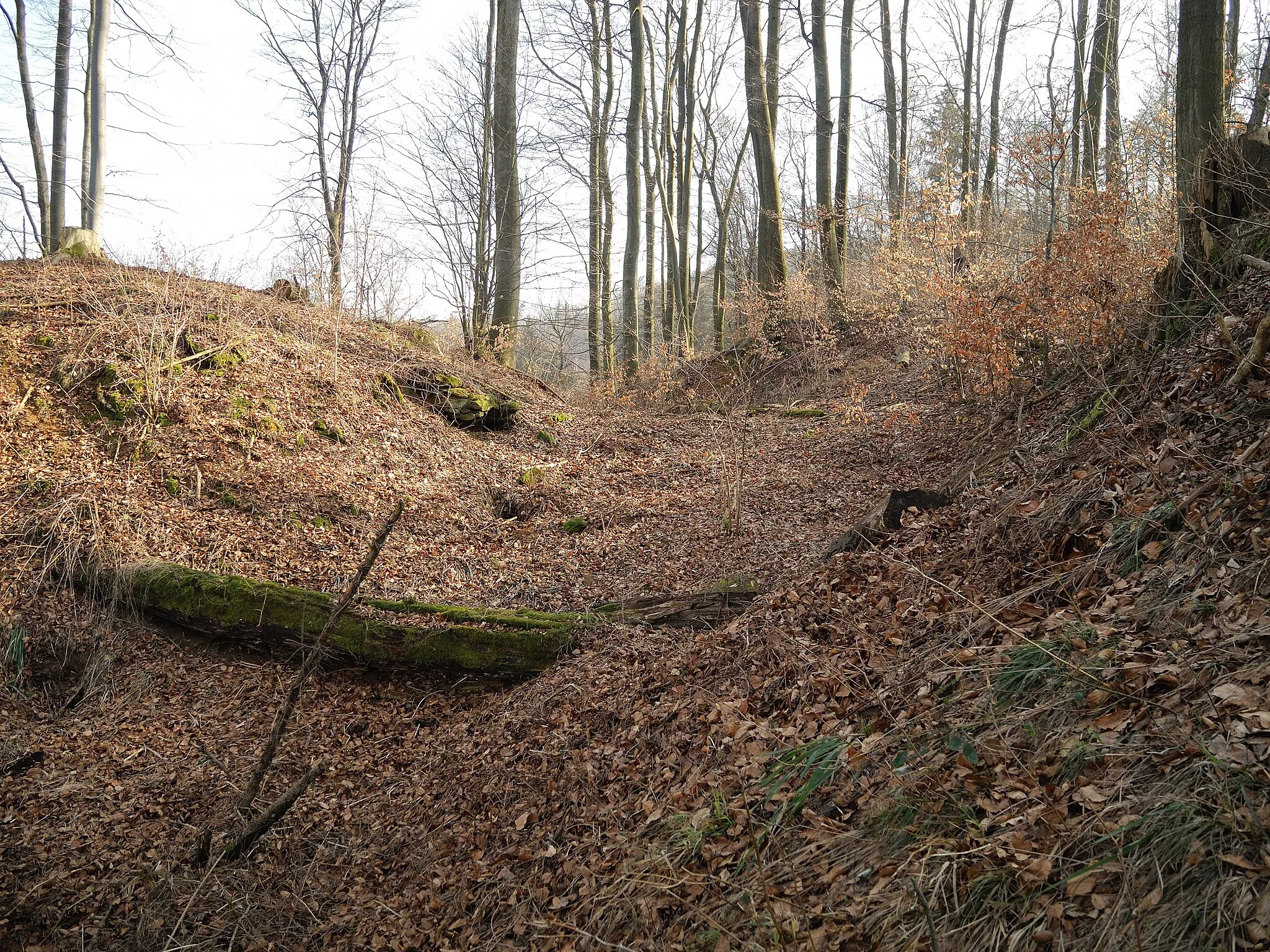 Photo showing: Burgstall Ödes Schloss - Blick in den inneren Halsgraben, links die Kernburg