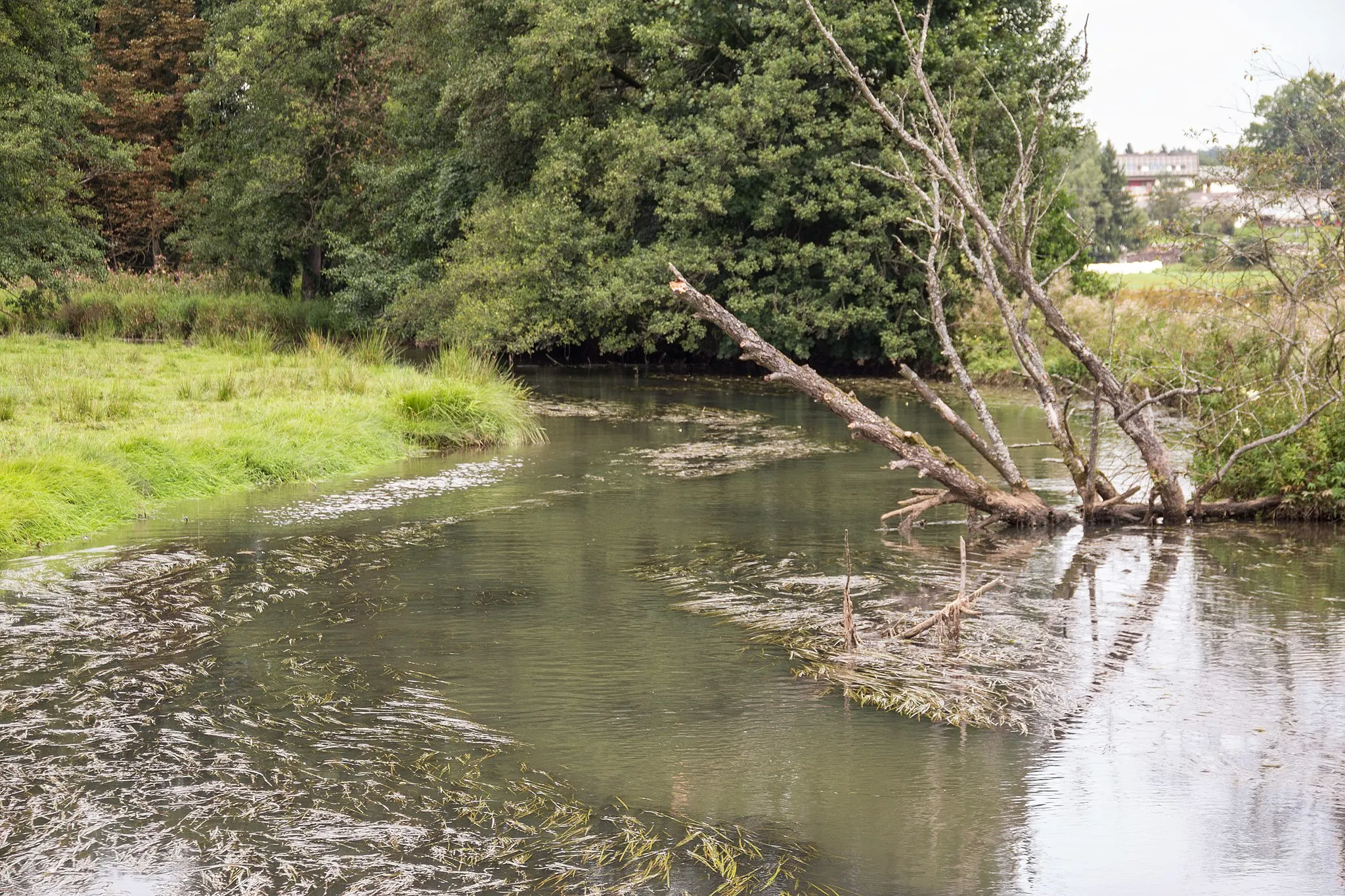 Photo showing: Pegnitz in Mosenberg