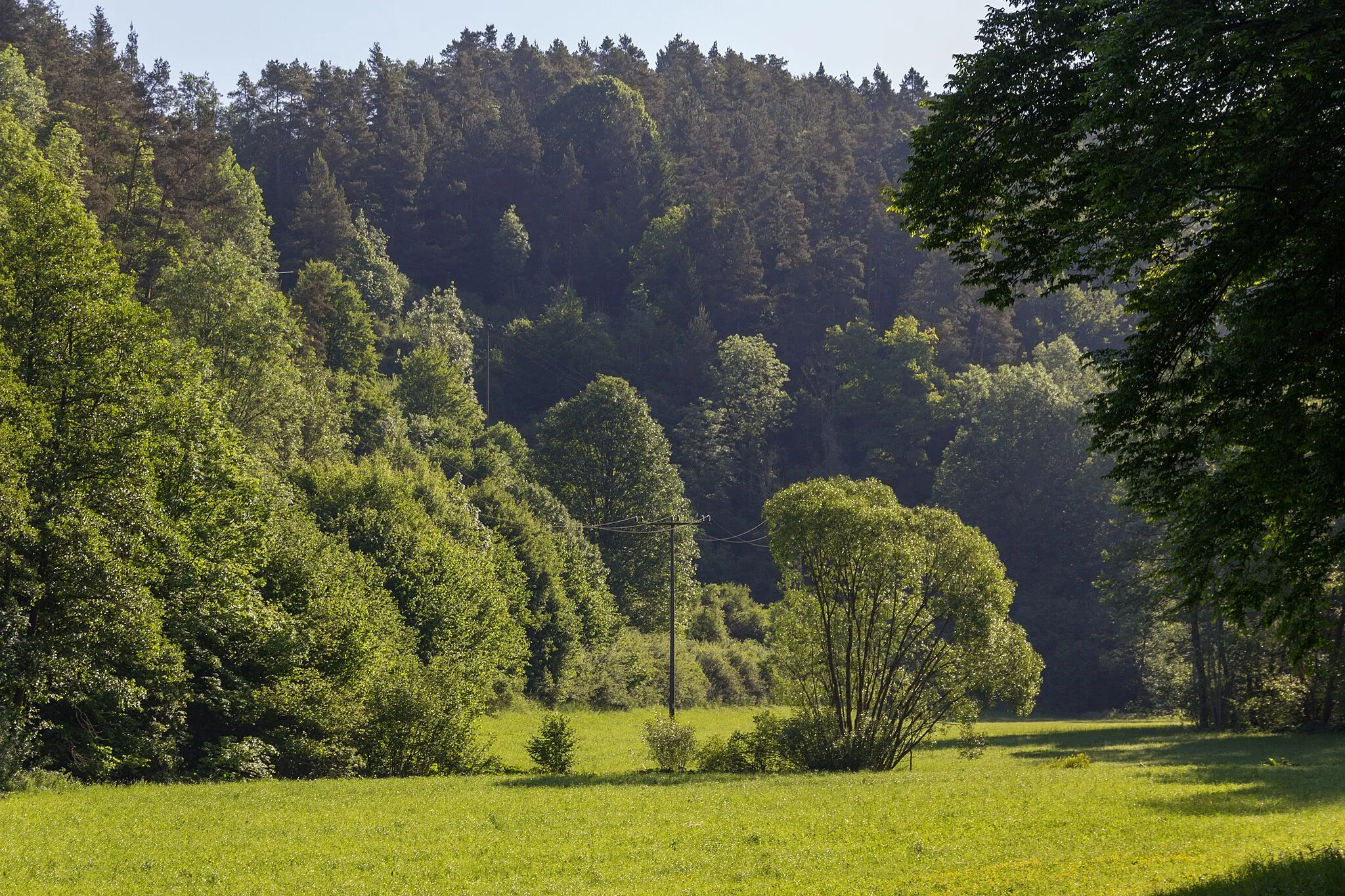 Photo showing: Tal bei der Clarmühle, Landschaftsschutzgebiet Ausweisung des LSG Südlicher Jura mit Moritzberg und Umgebung, Alfeld