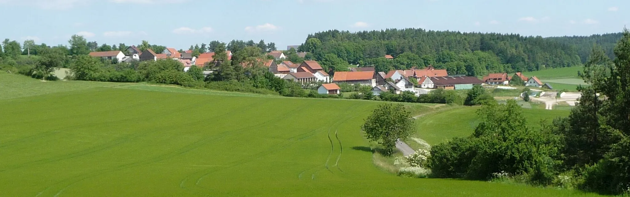 Photo showing: Laibarös