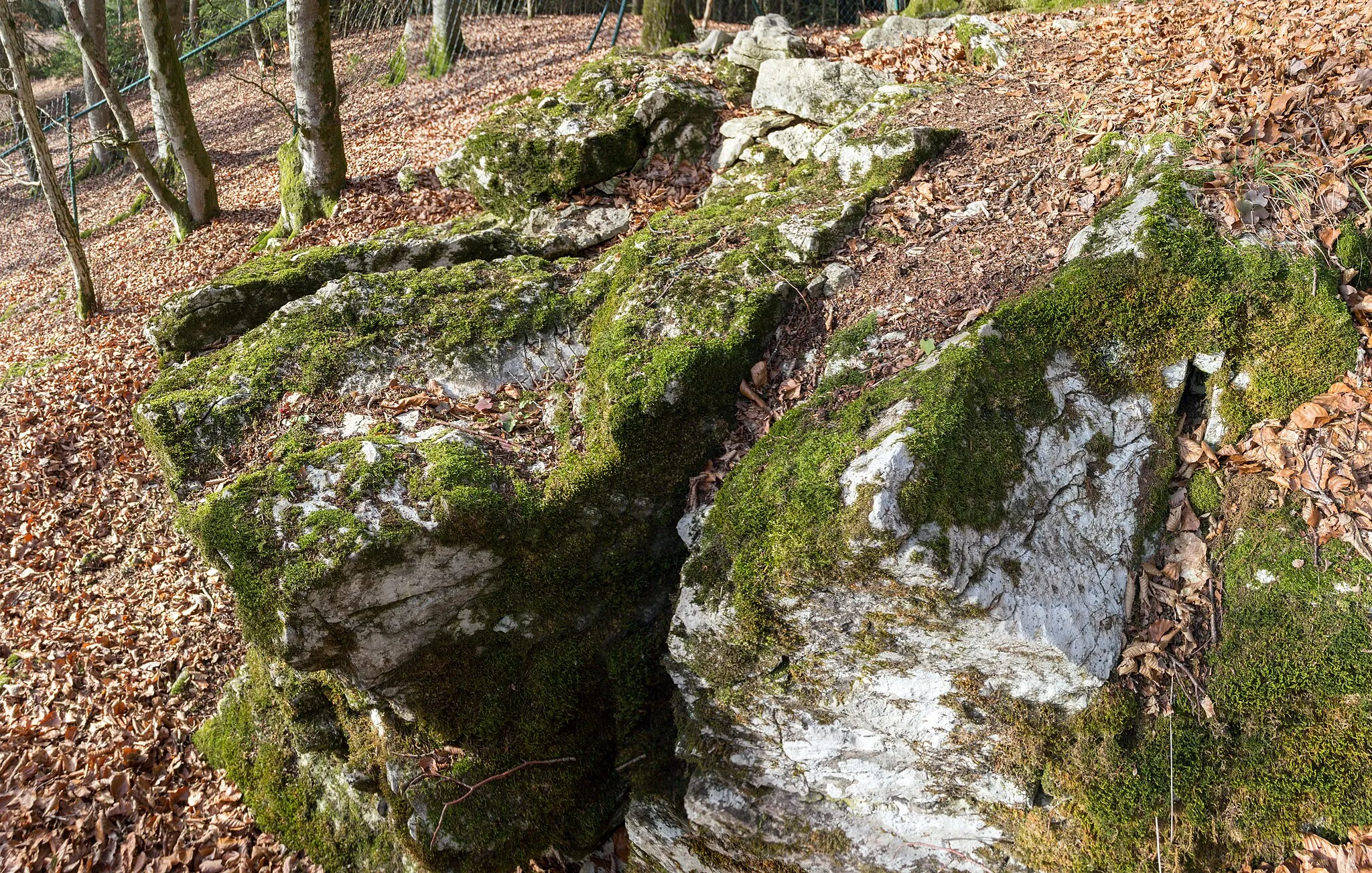 Photo showing: Blutrinne, Hechlingen am See, Kulturdenkmal